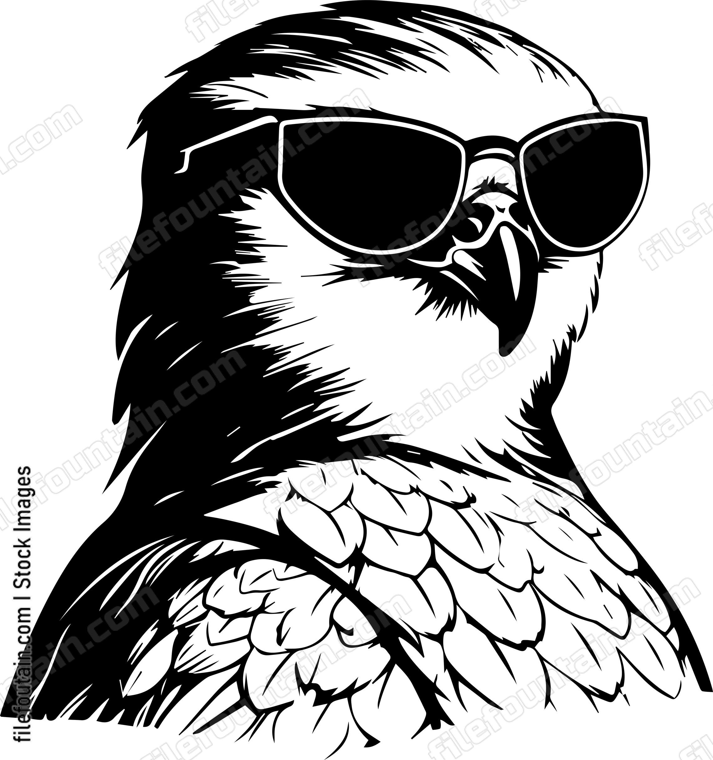Falcon In Sunglasses