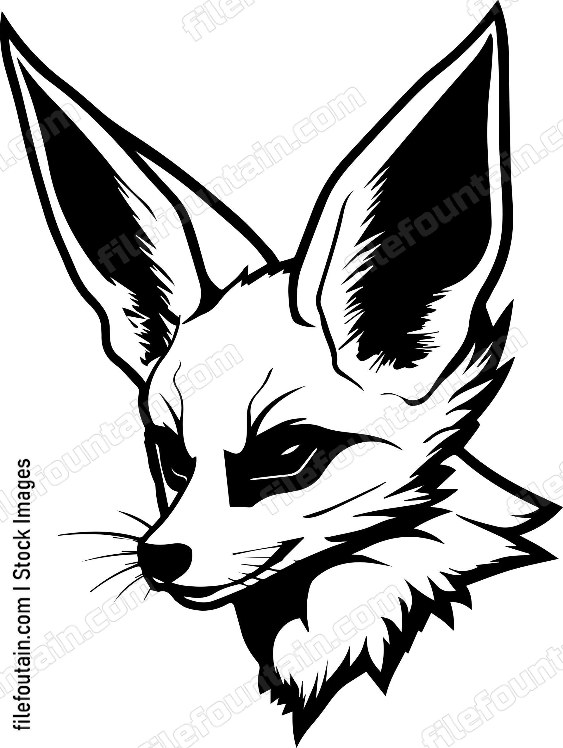 Fennec Fox