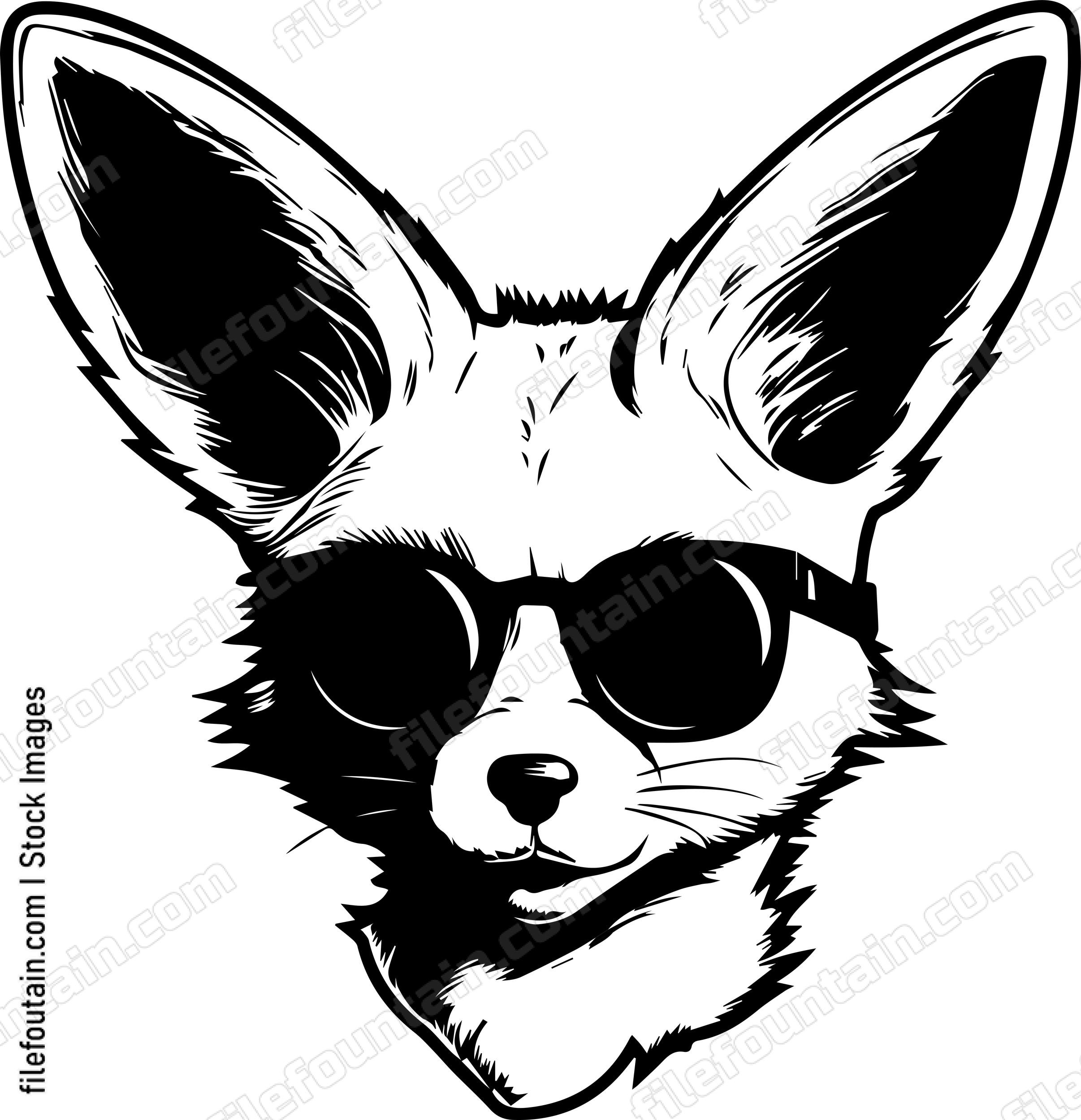 Fennec Fox In Sunglasses
