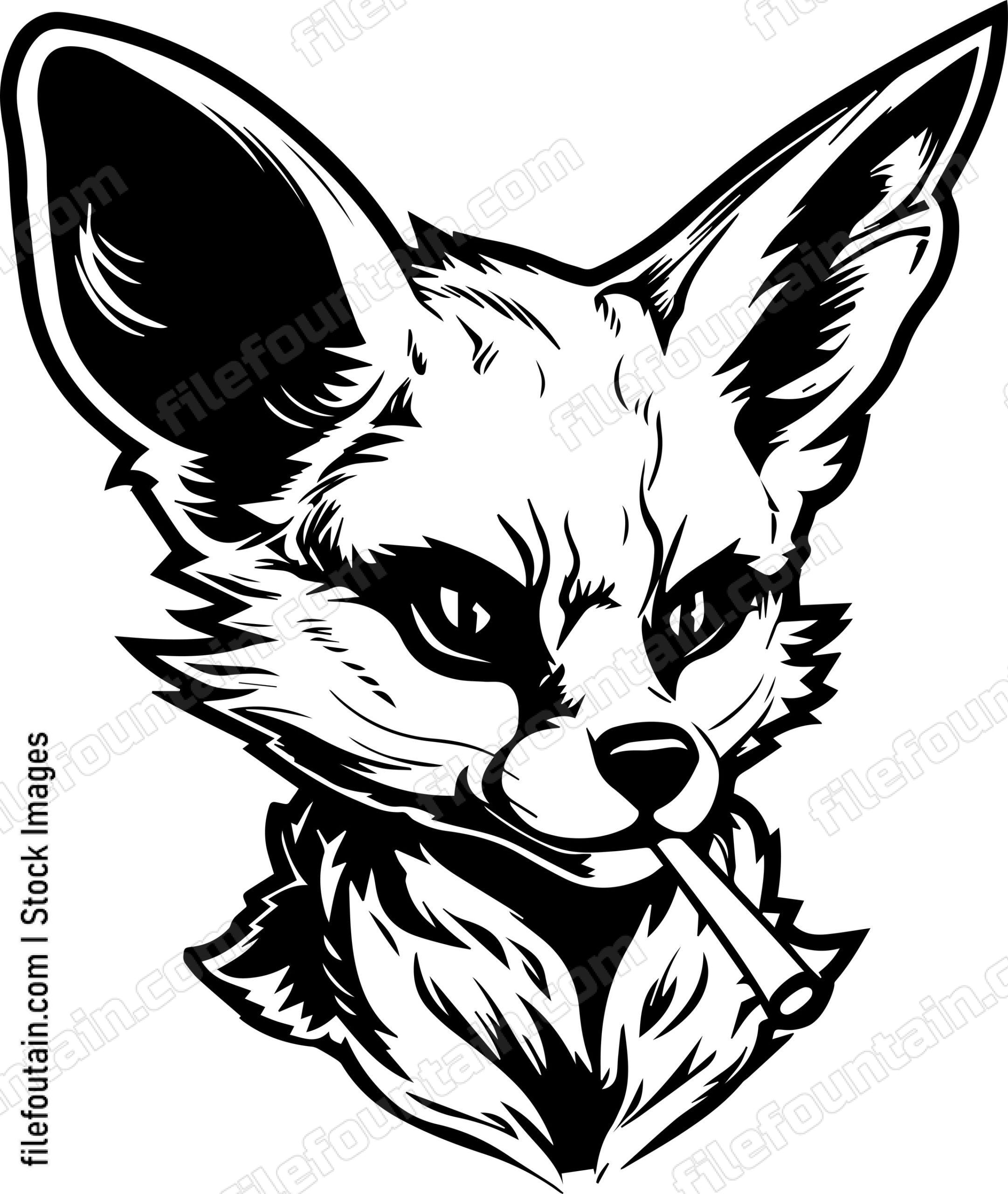 Fennec Fox Smoking A Cigar