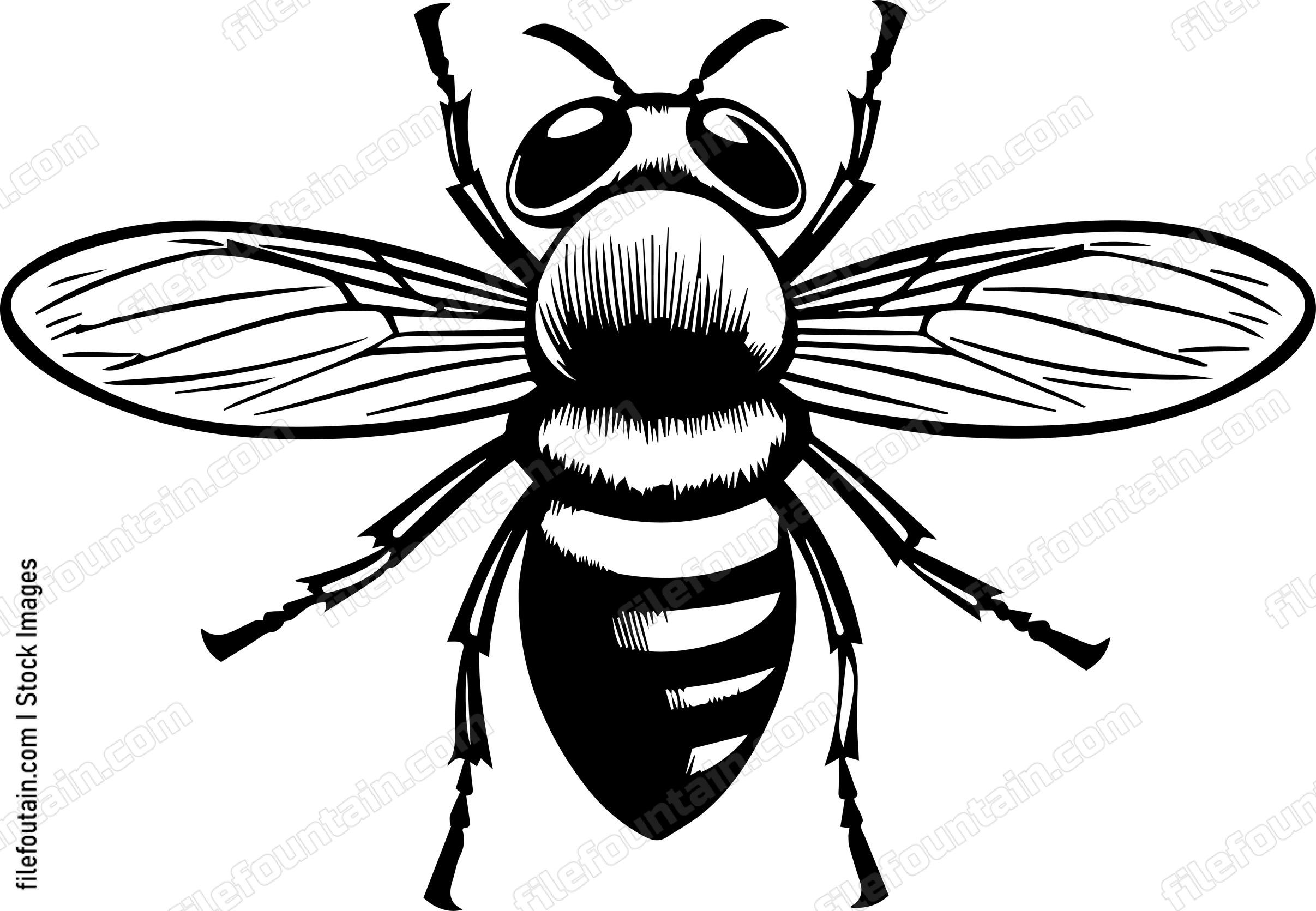 Fly