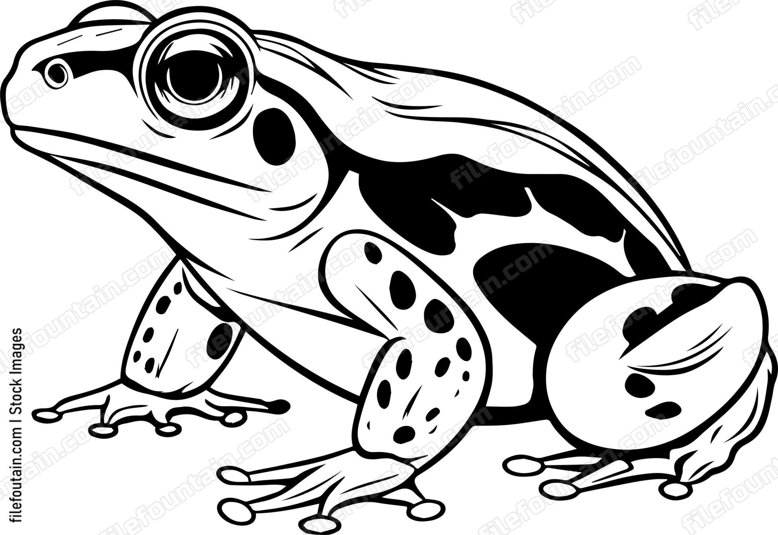 Frog Side View