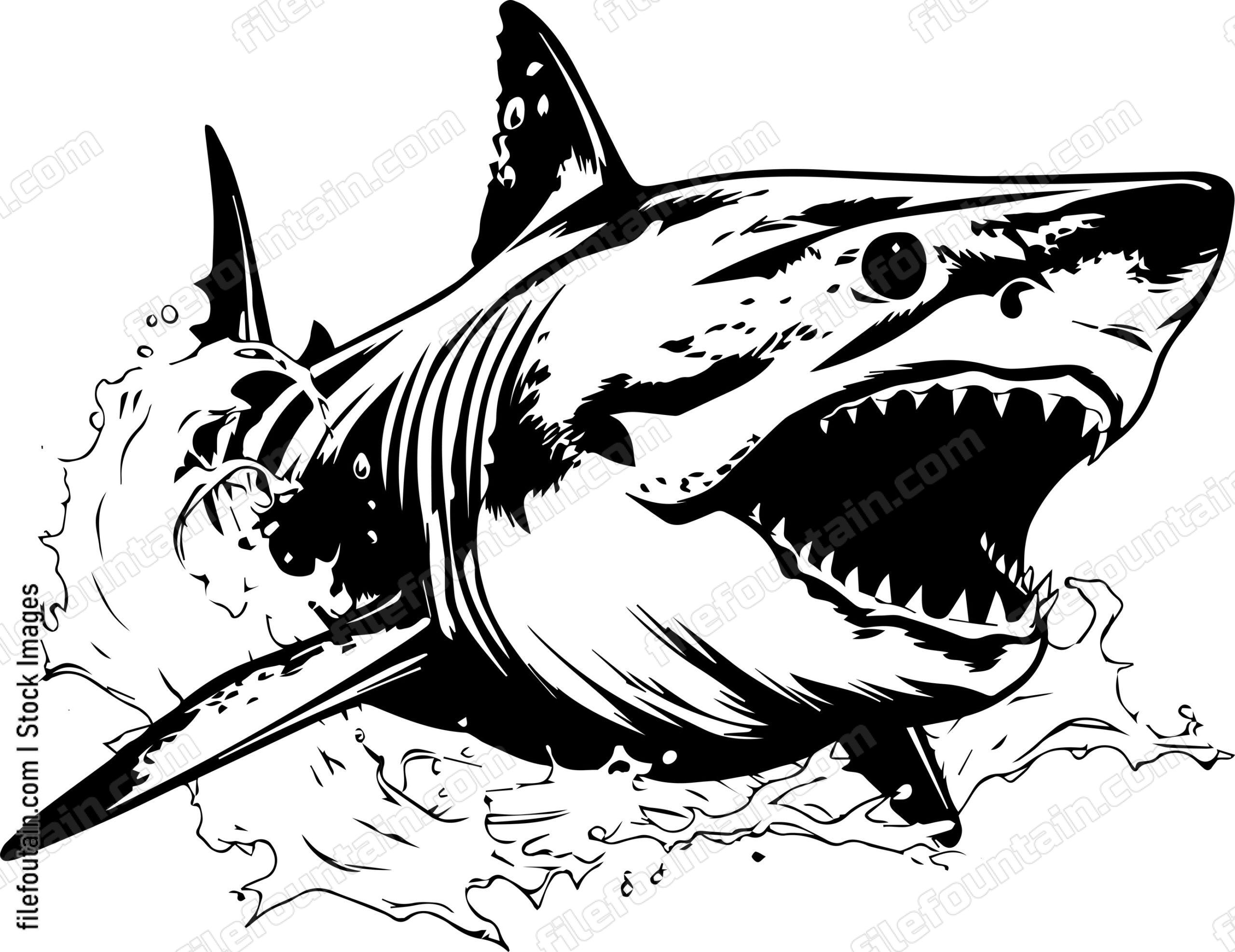 Great White Shark Splashing In Water