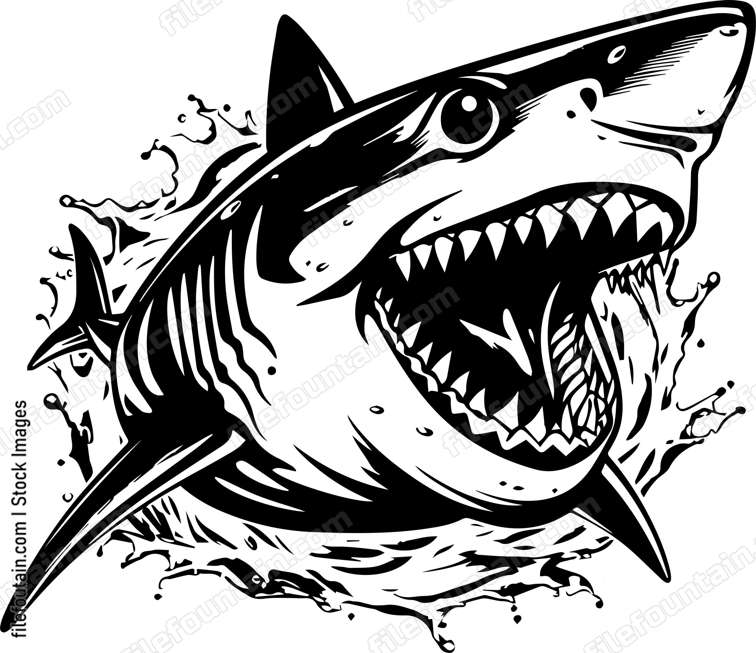 Great White Shark Splashing In Water