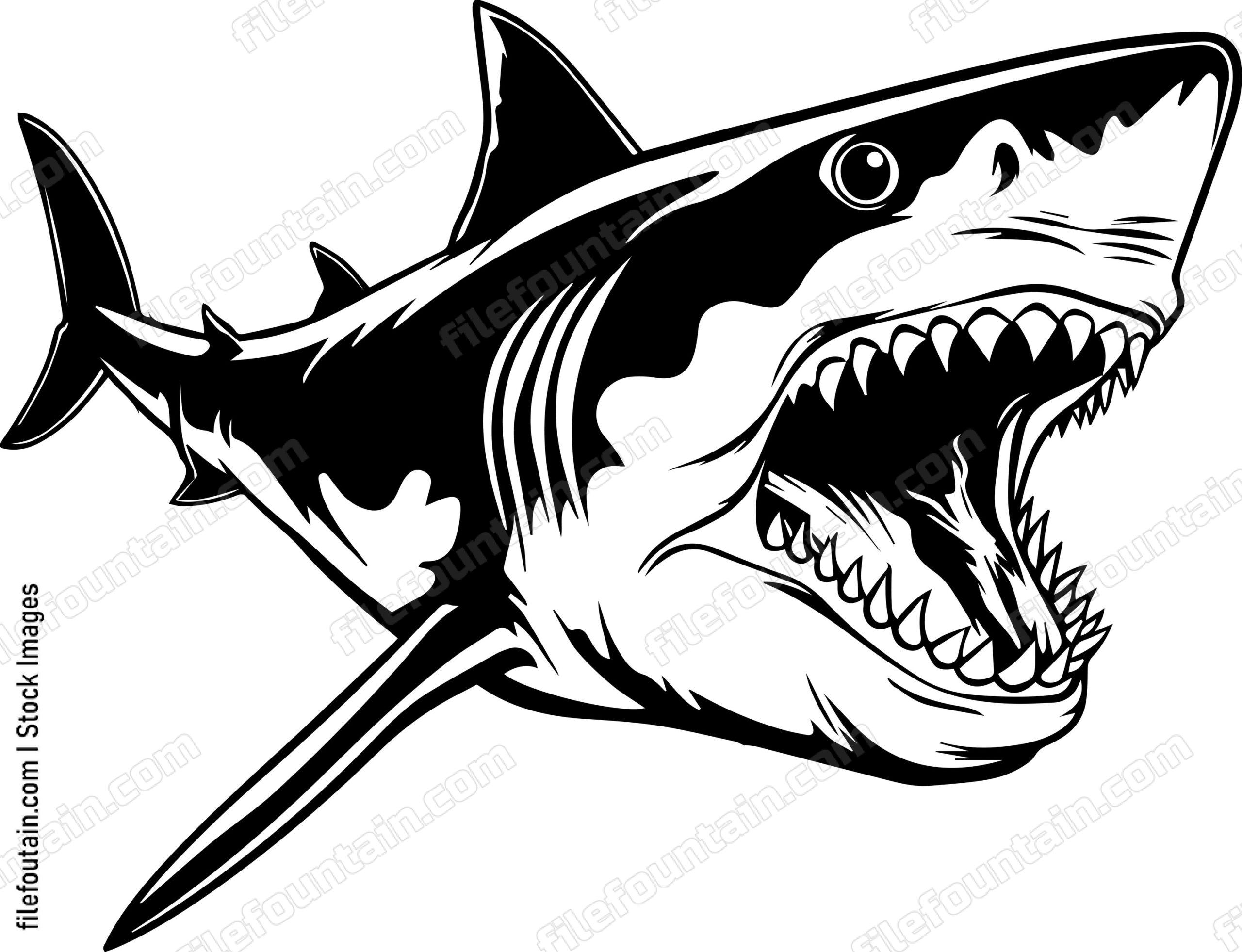 Great White Shark
