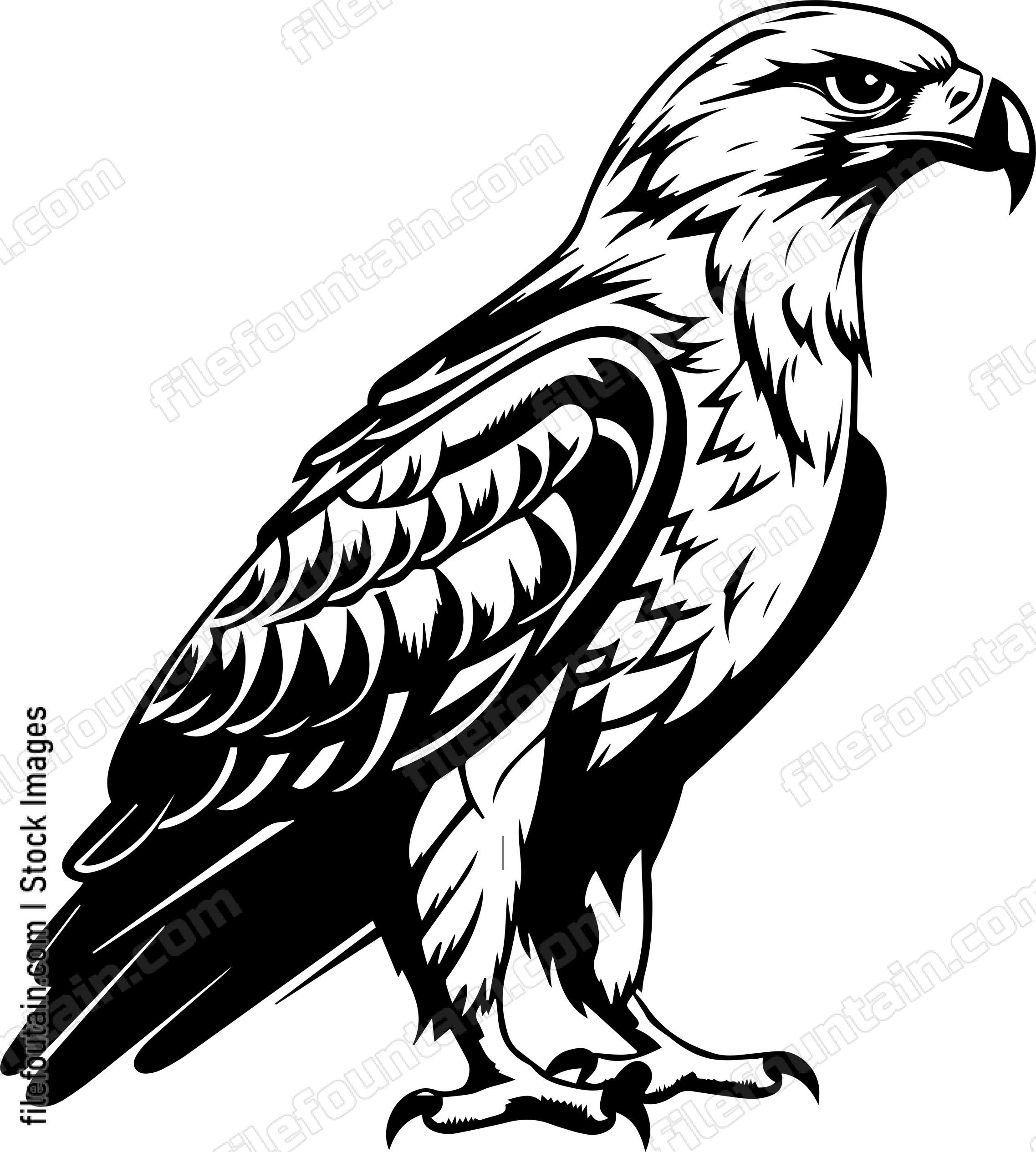 Hawk
