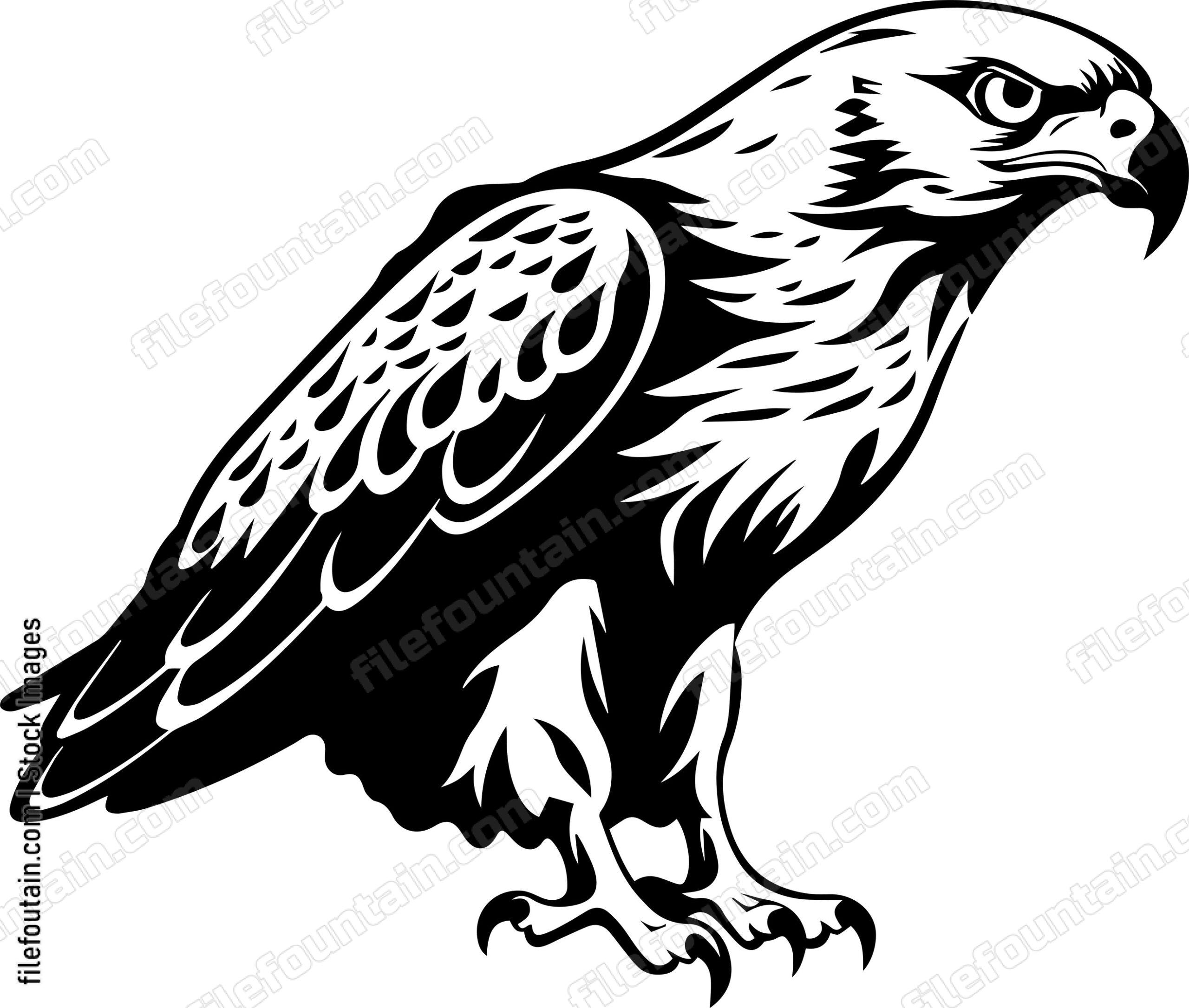 Hawk
