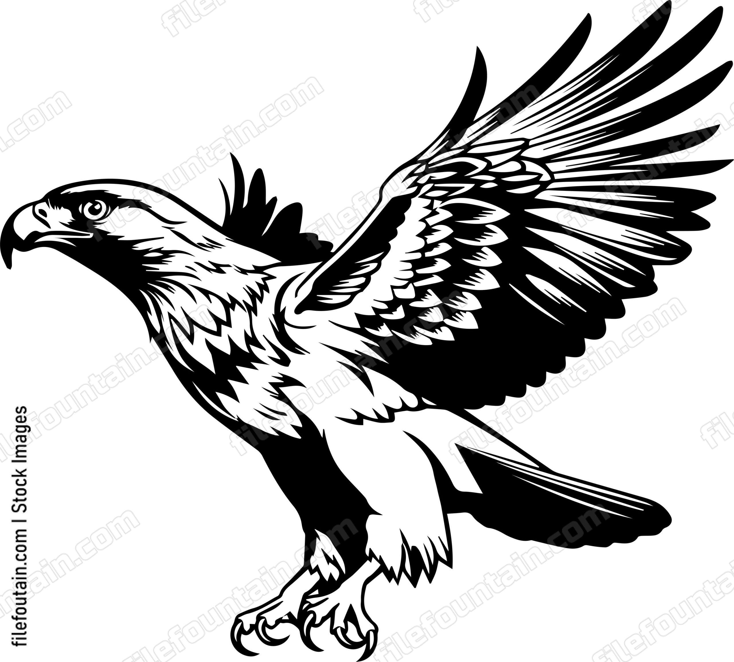hawk