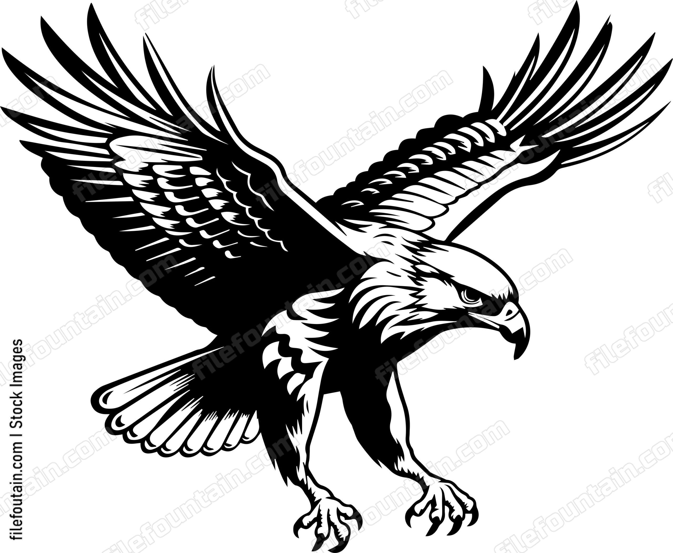 hawk