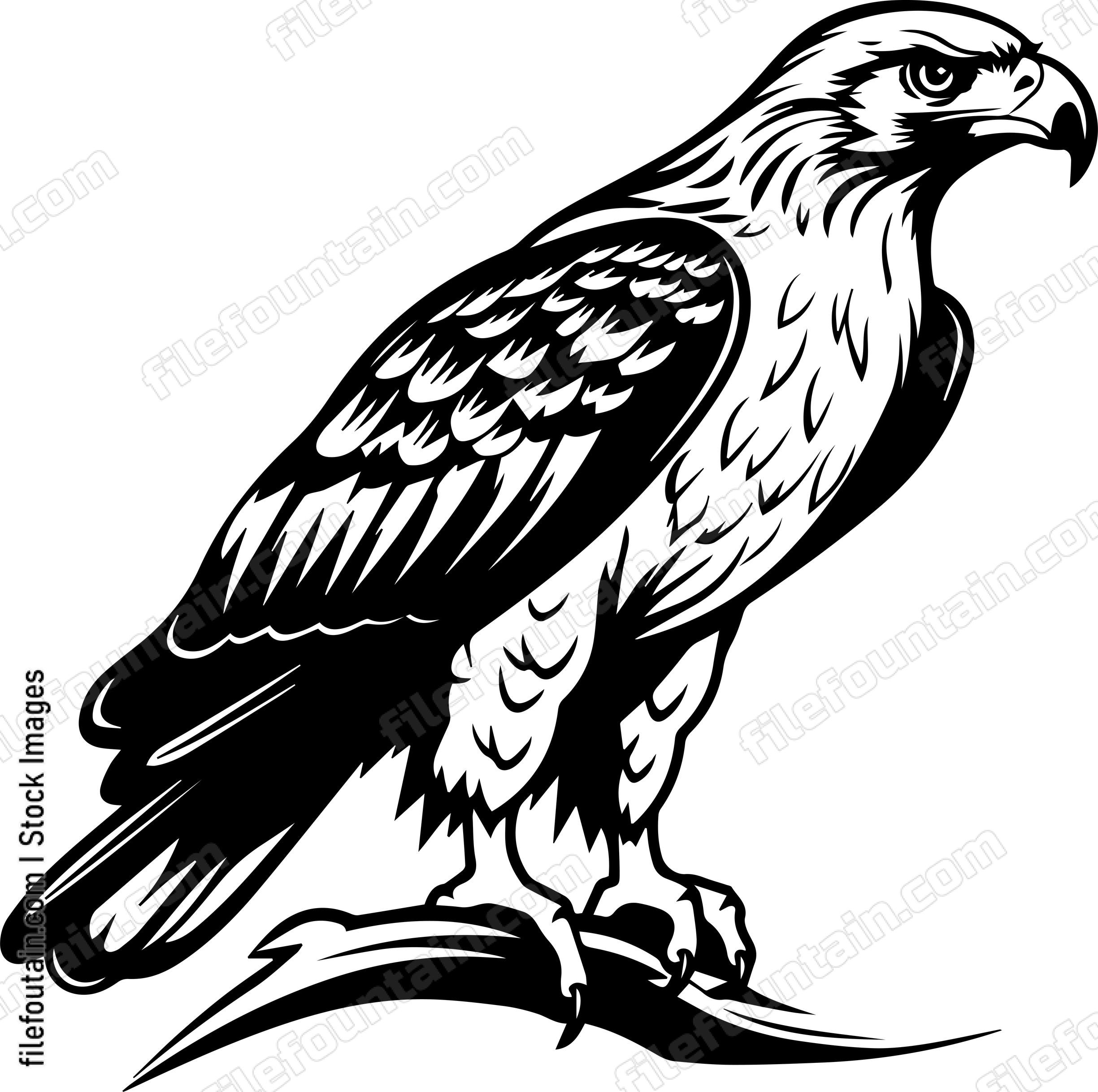 Hawk