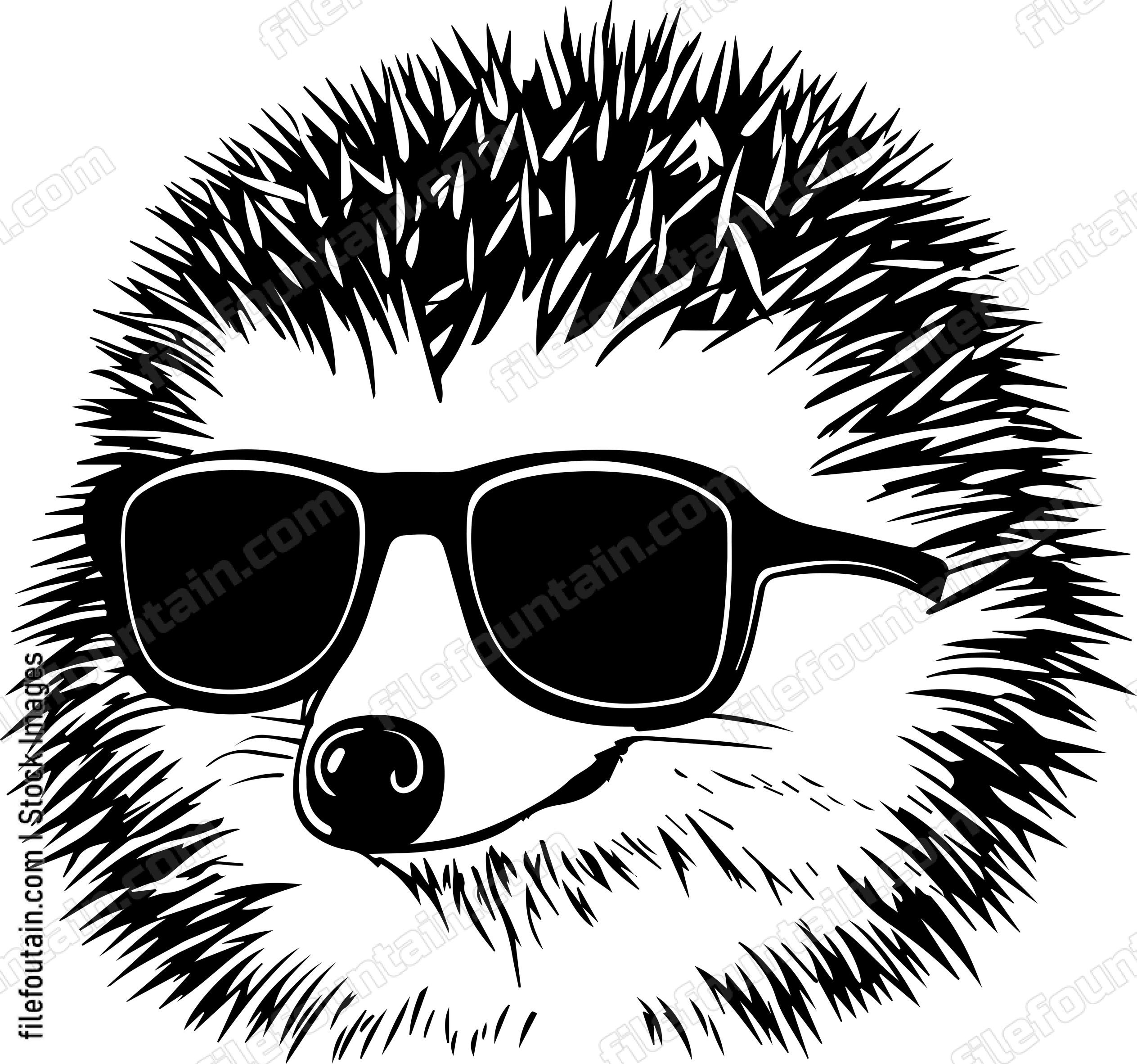 Hedgehog In Sunglasses