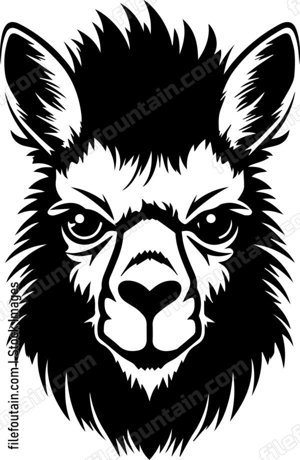 llama