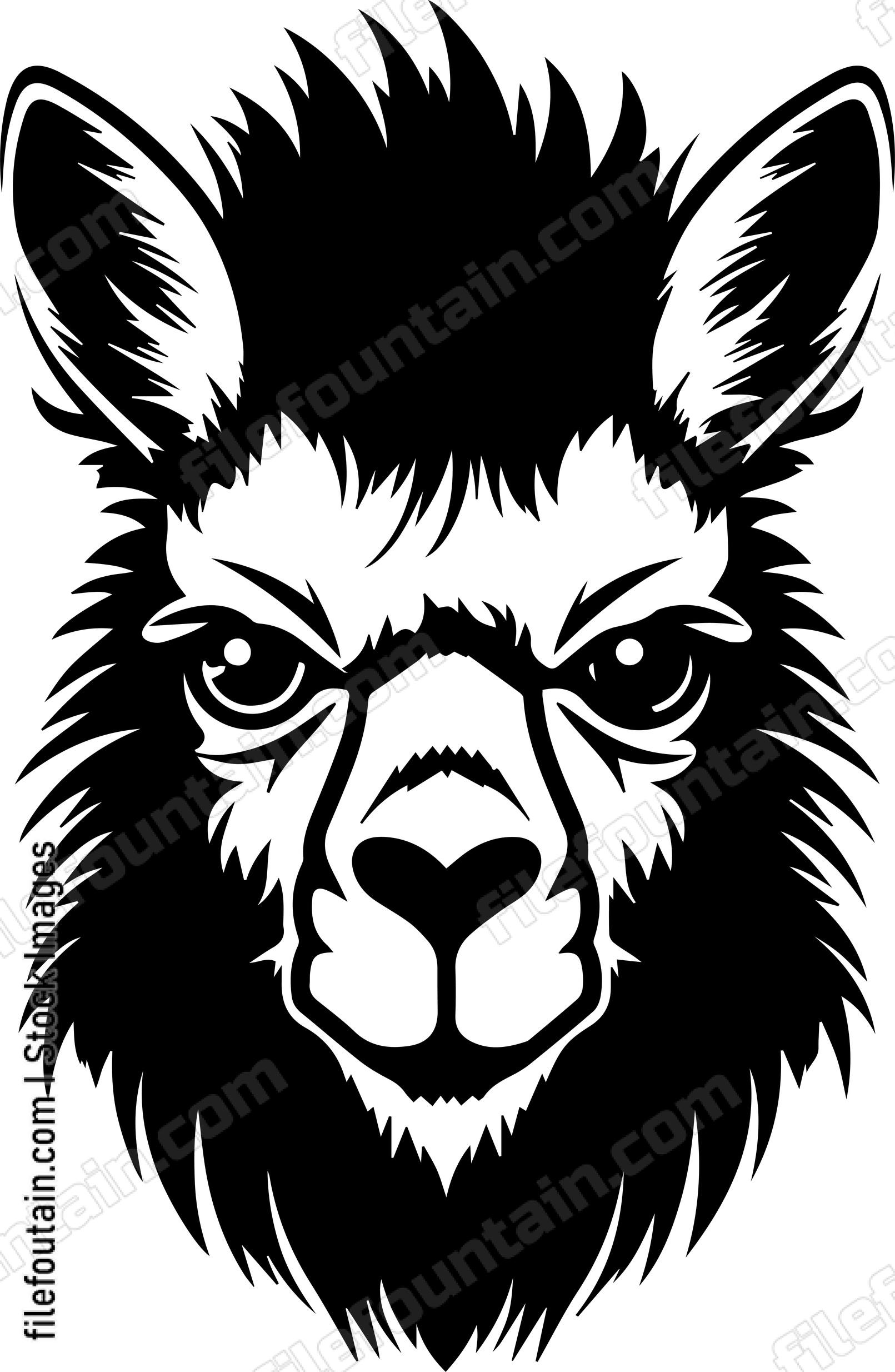 llama