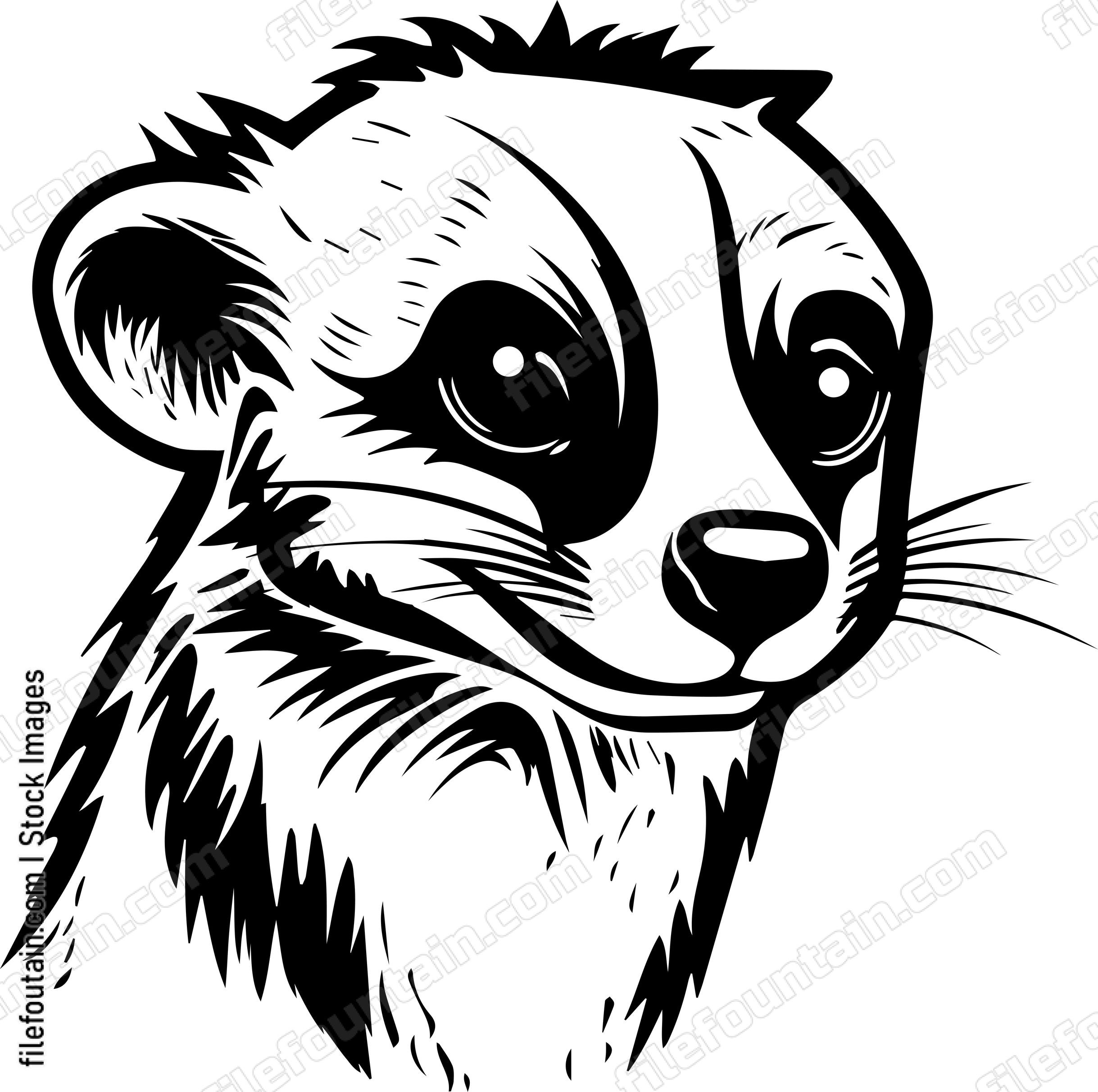 Meerkat