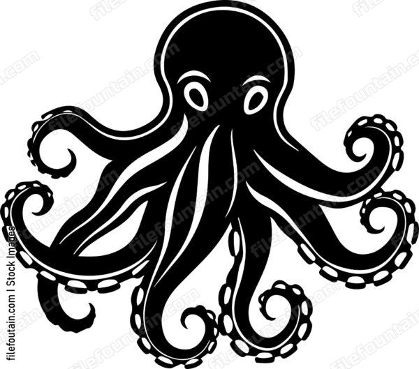 octopus