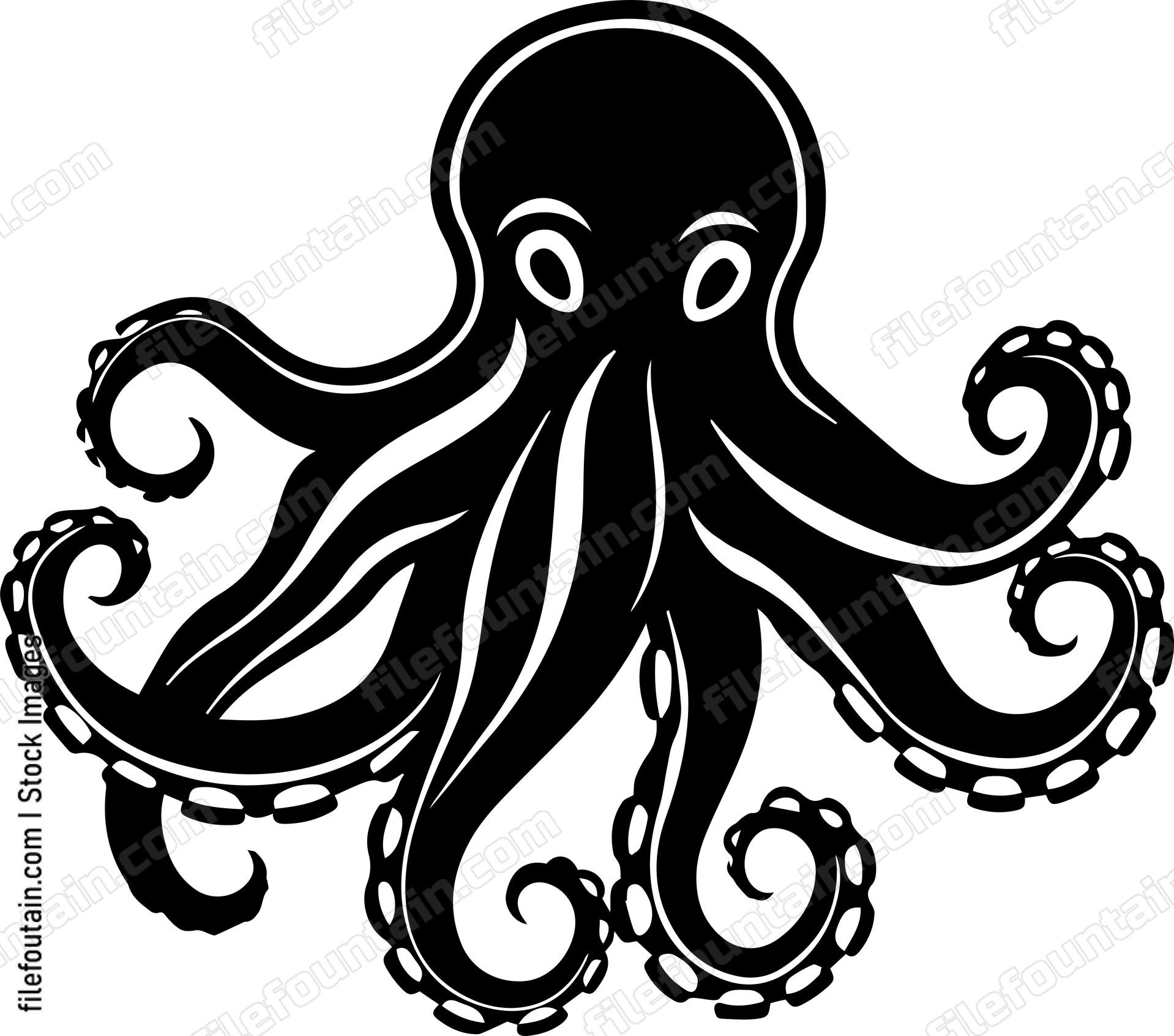 octopus
