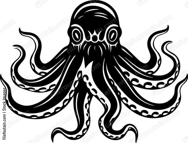octopus