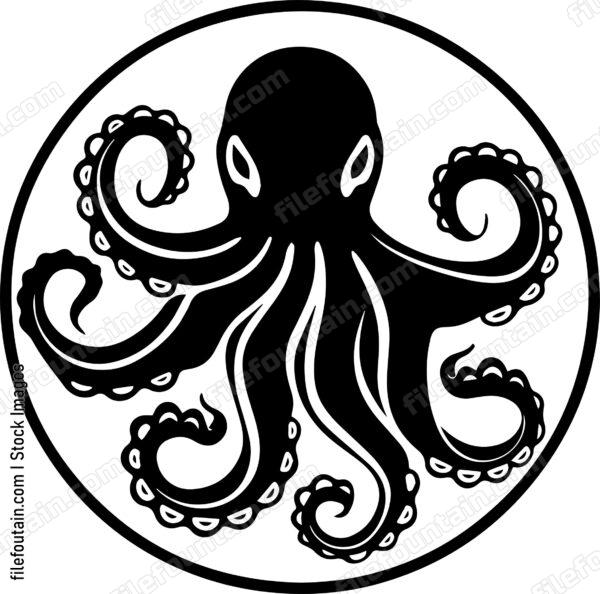 octopus