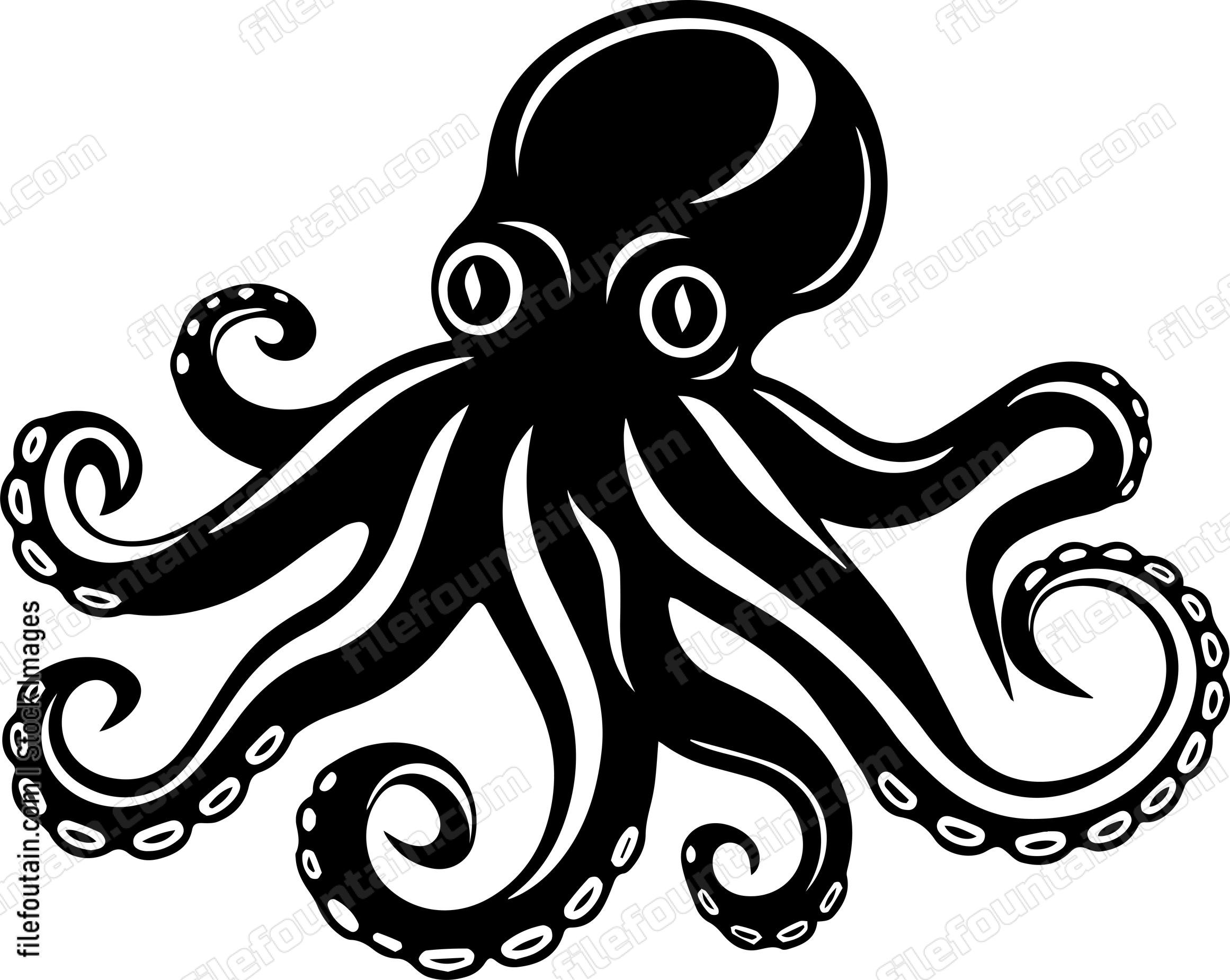 octopus