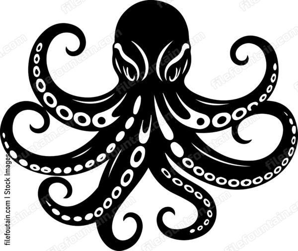 octopus