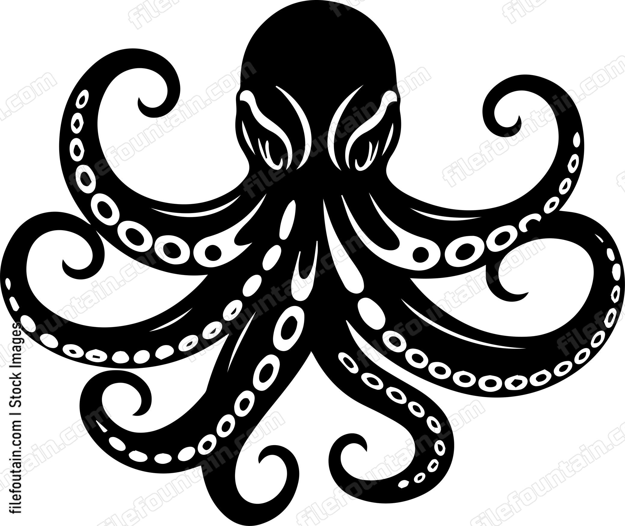 octopus