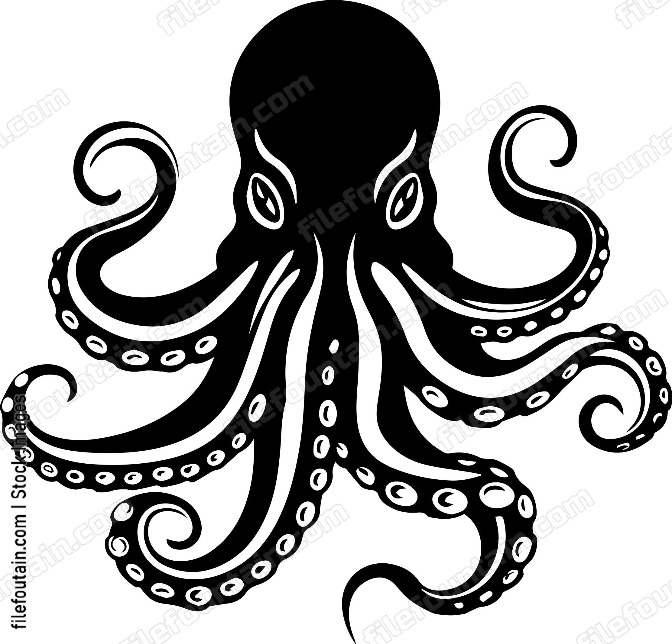 octopus