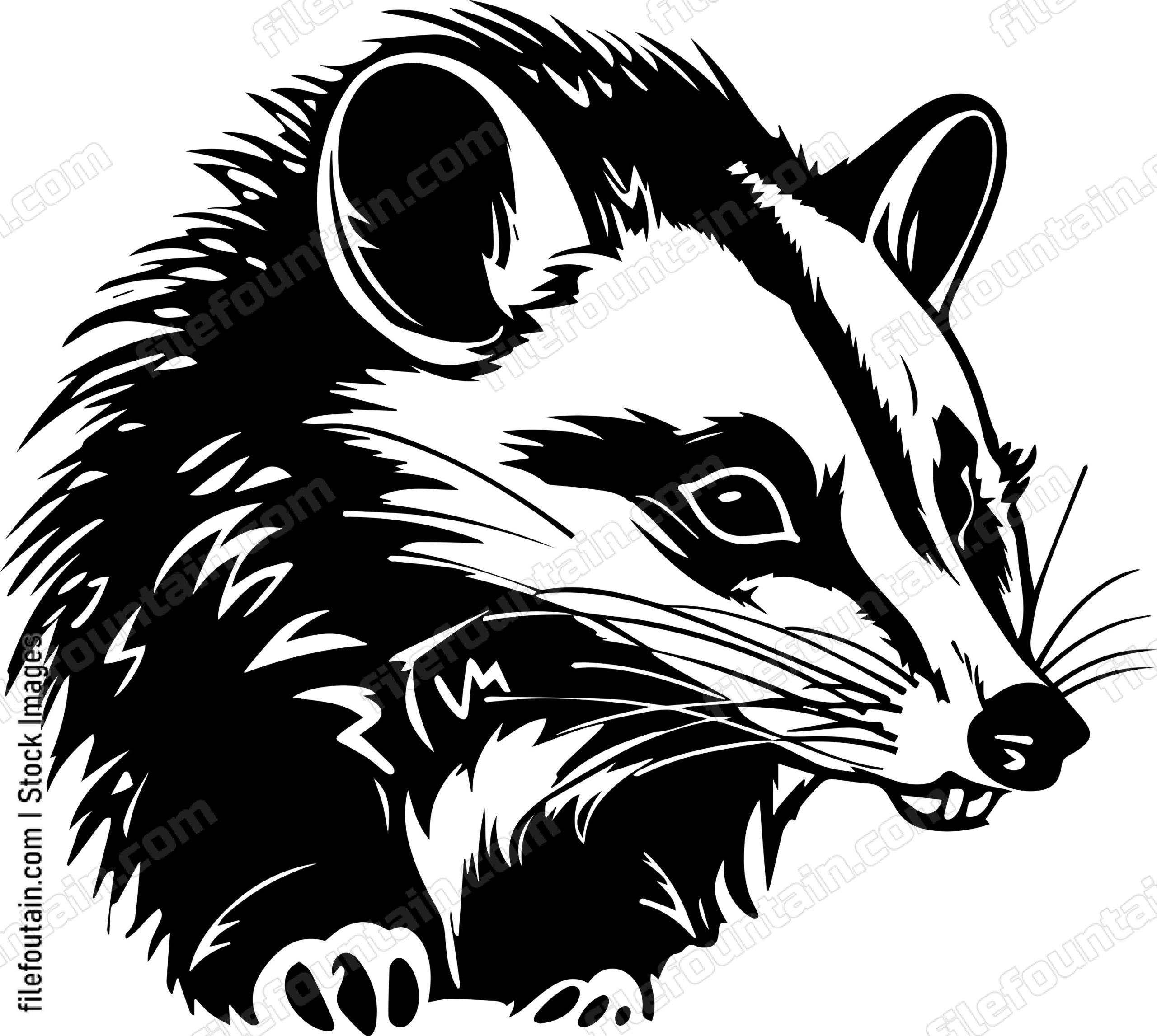 Opossum