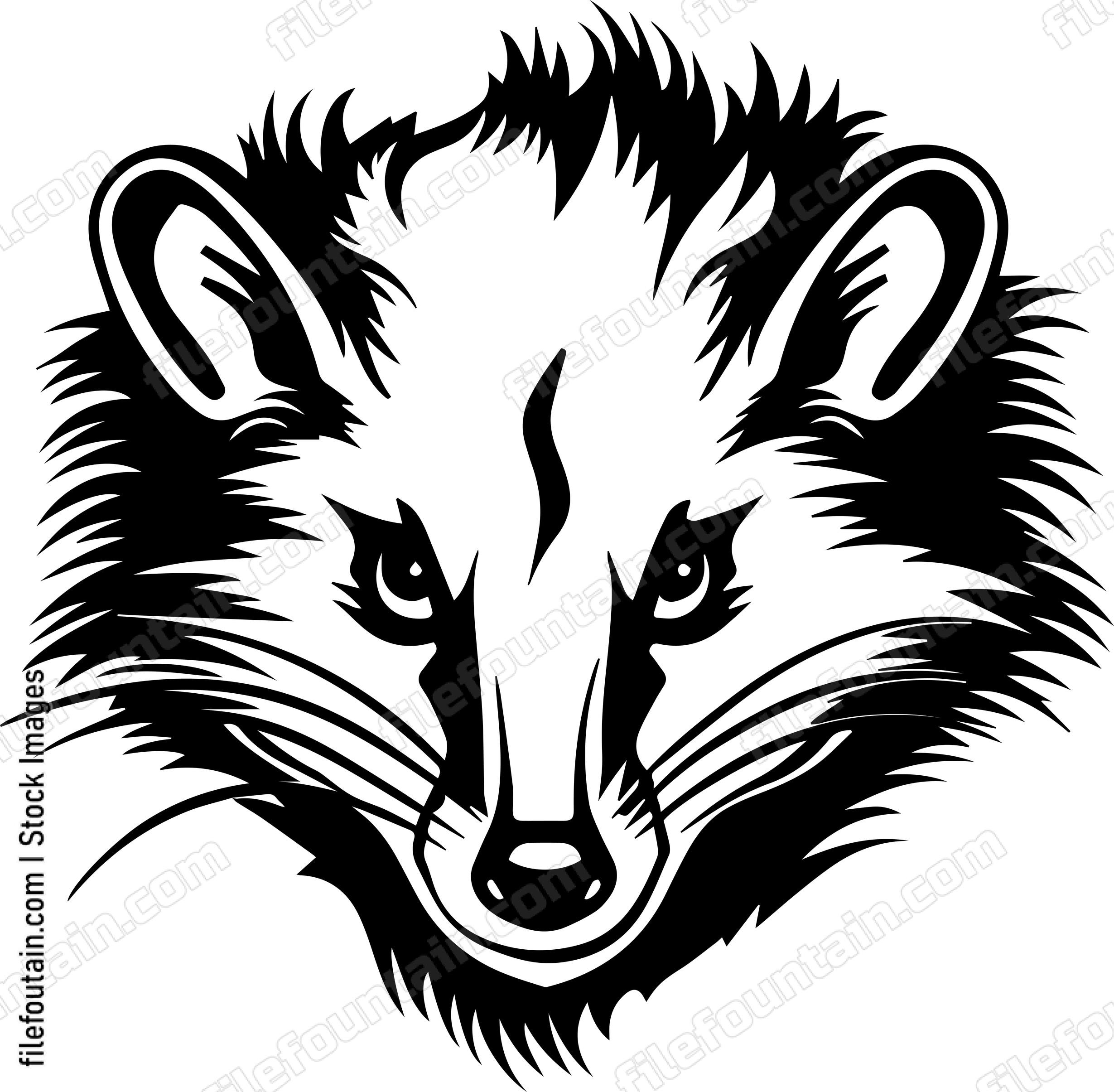 Opossum