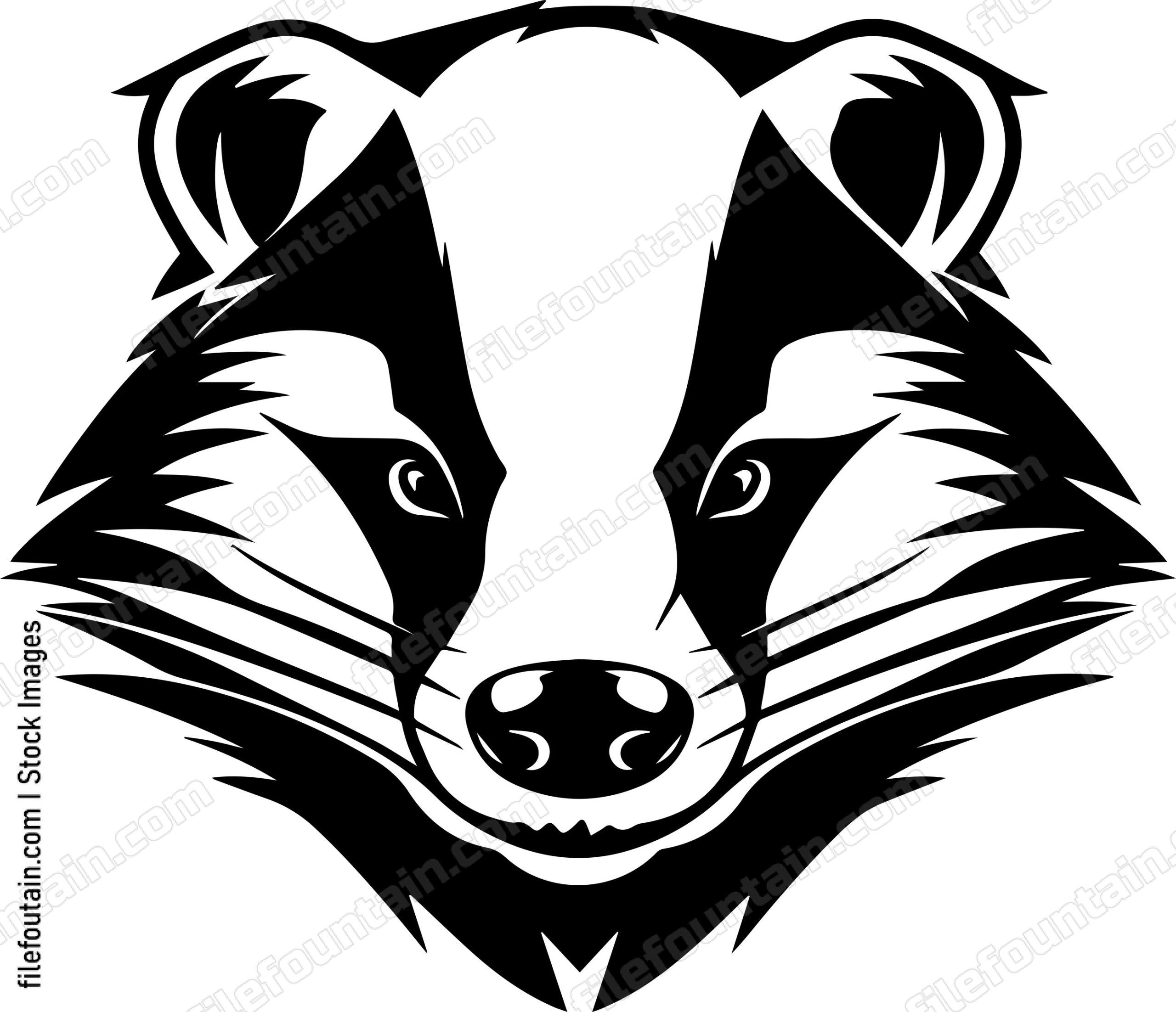 Raccoon