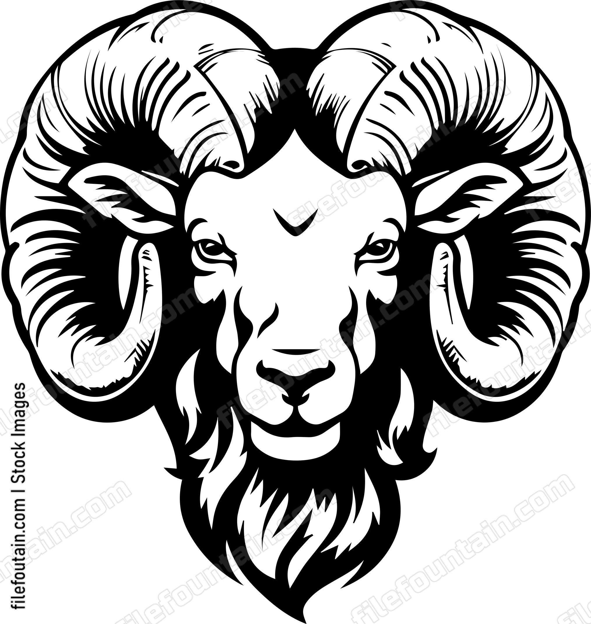 Ram