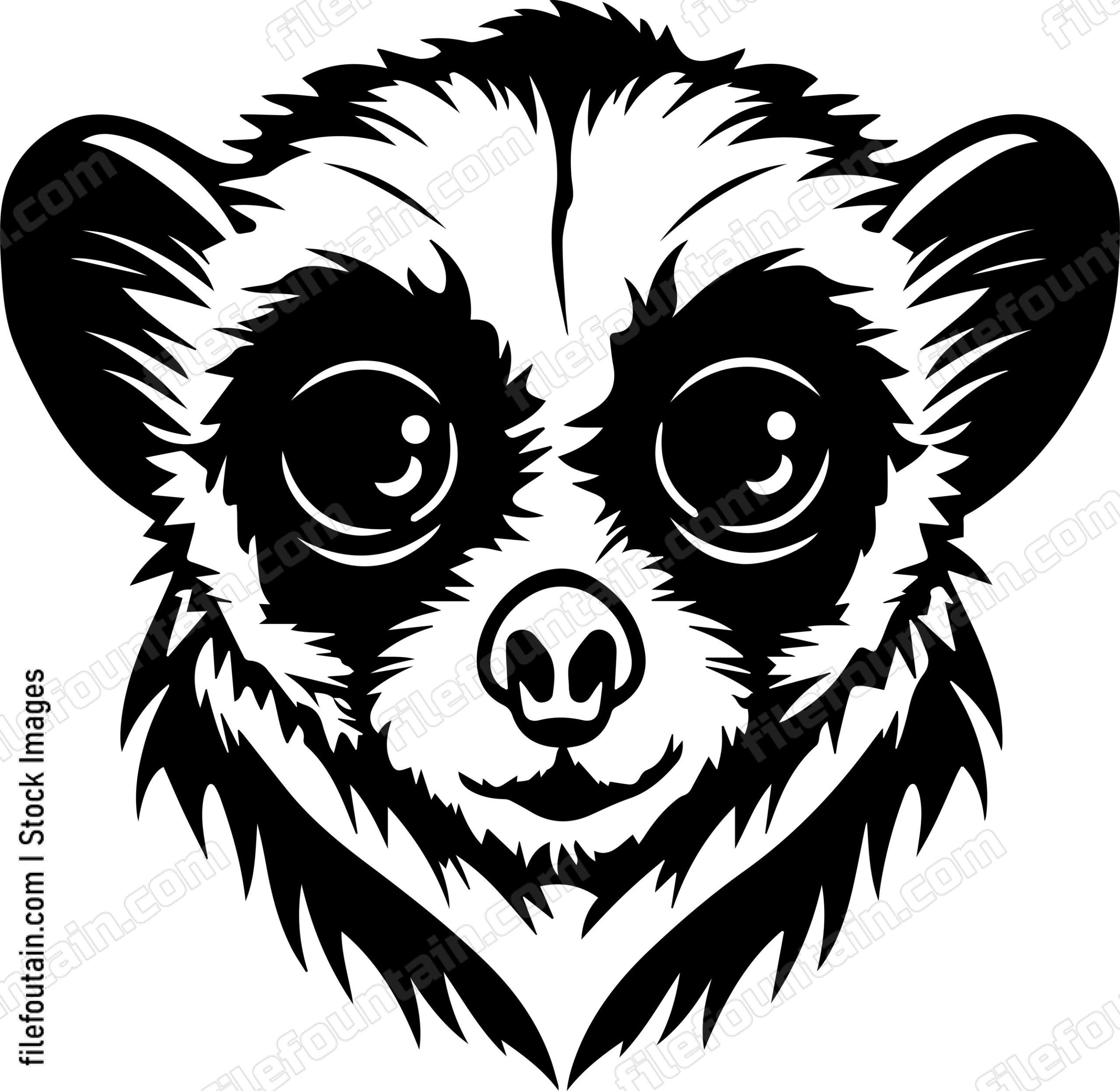 Slow Loris