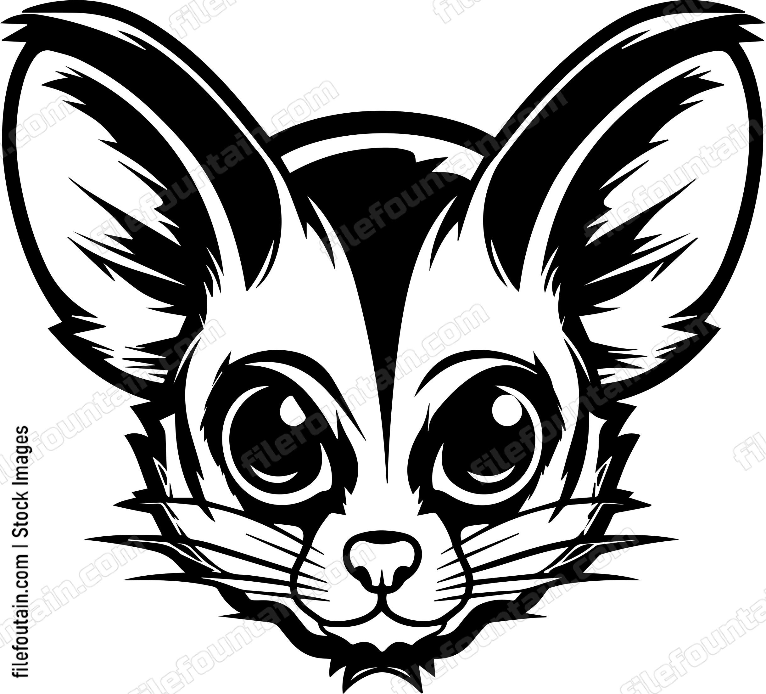 Sugar Glider