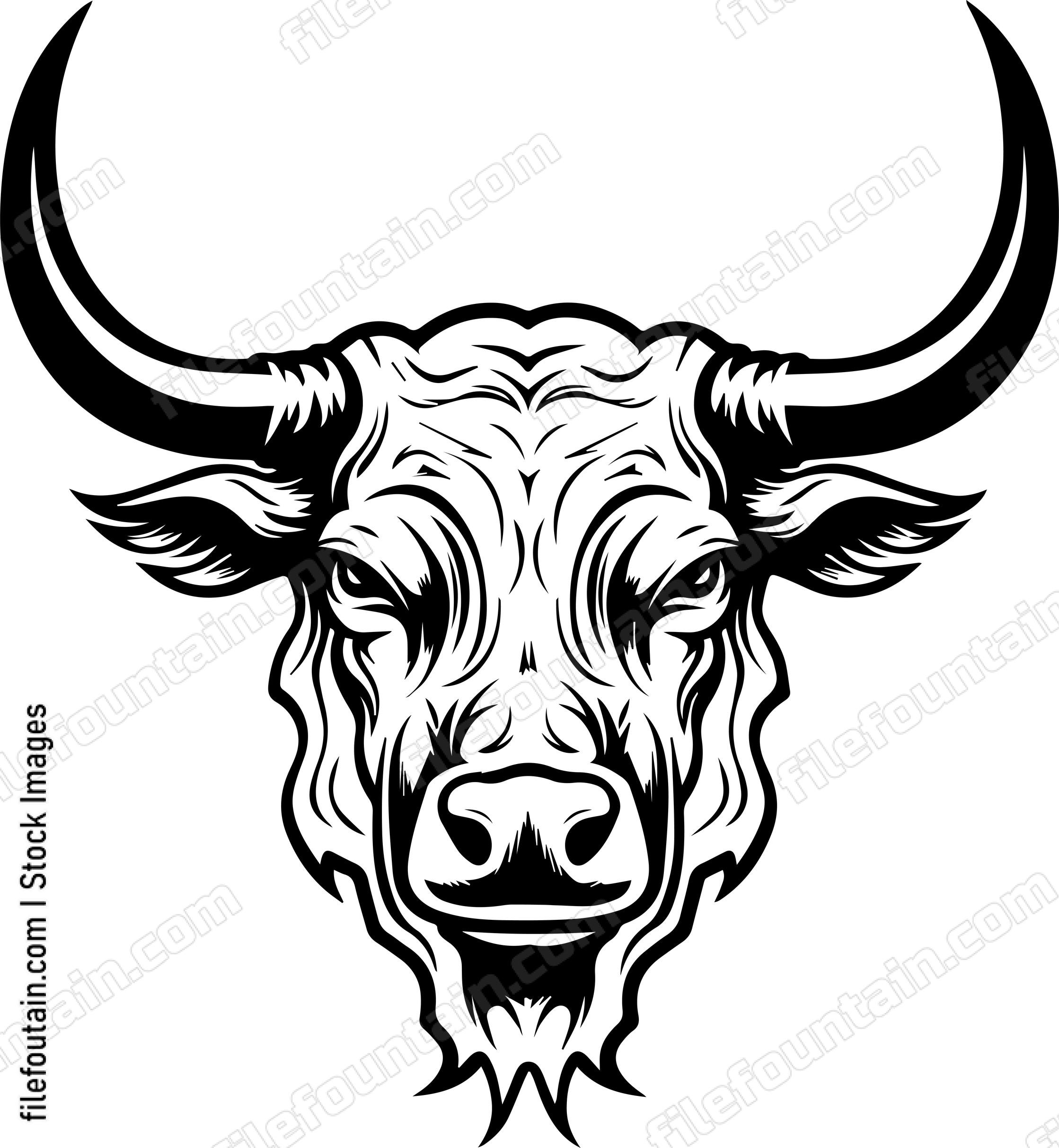 Texas Longhorn