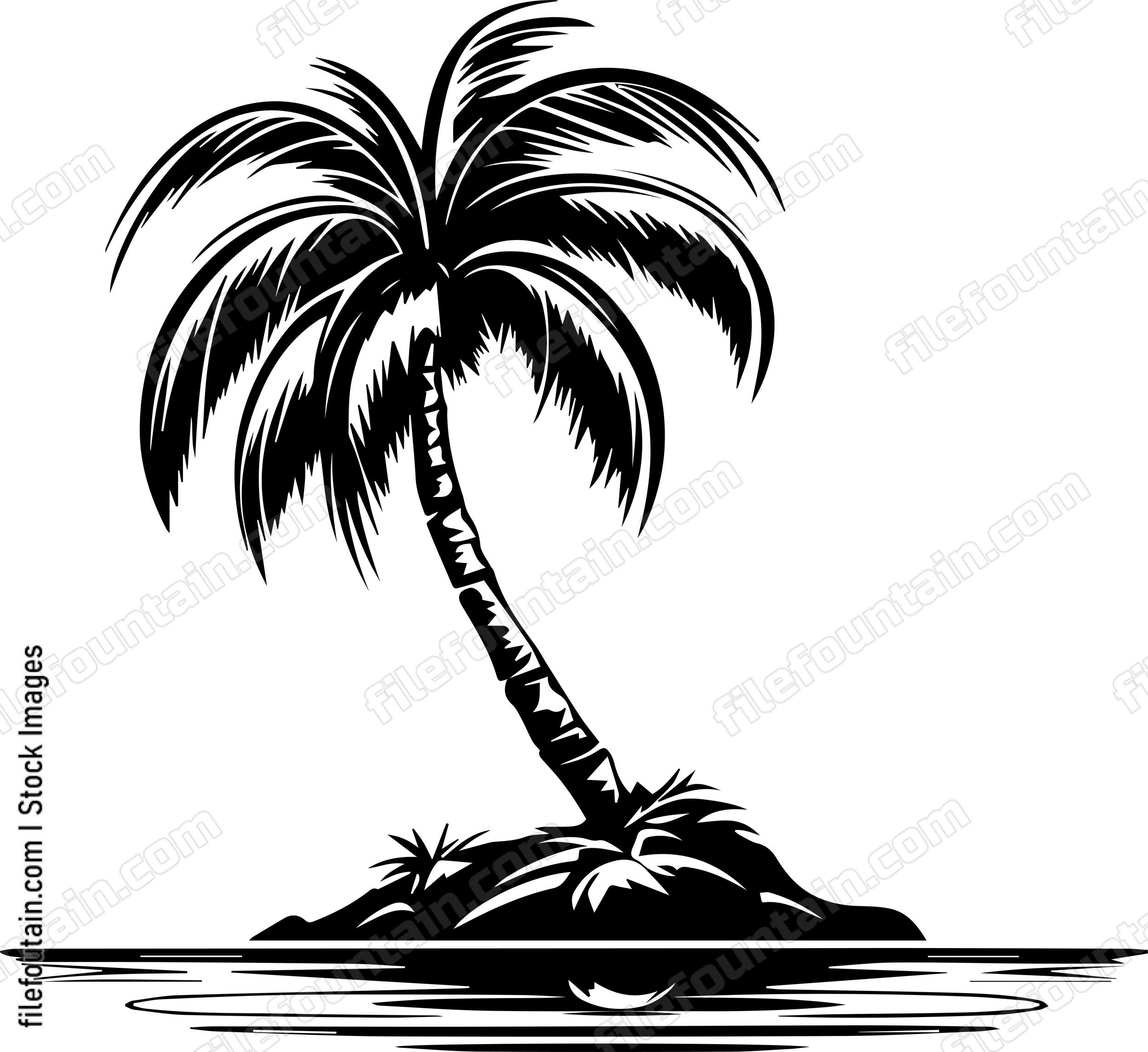 Tropical Palm Tree