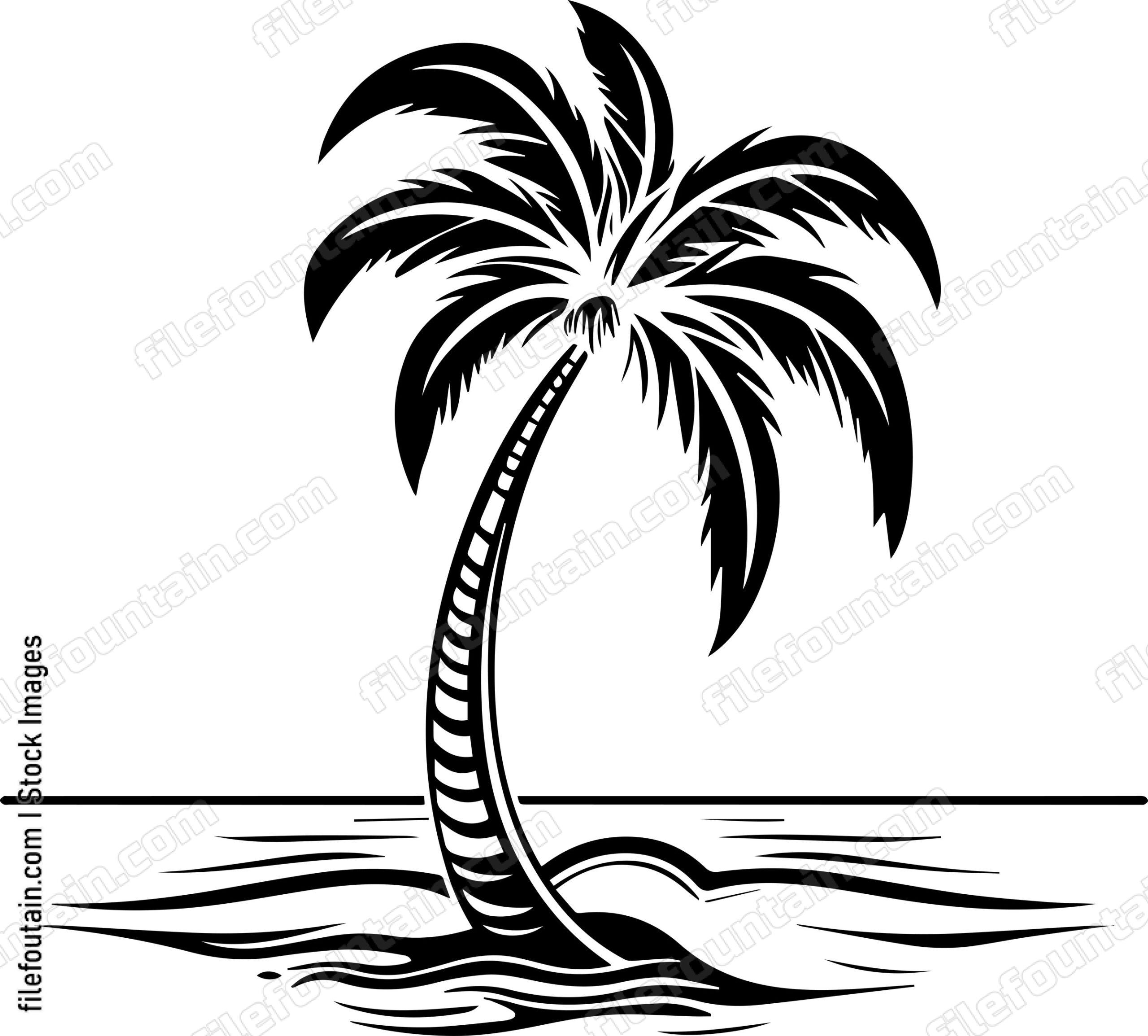 Tropical Palm Tree