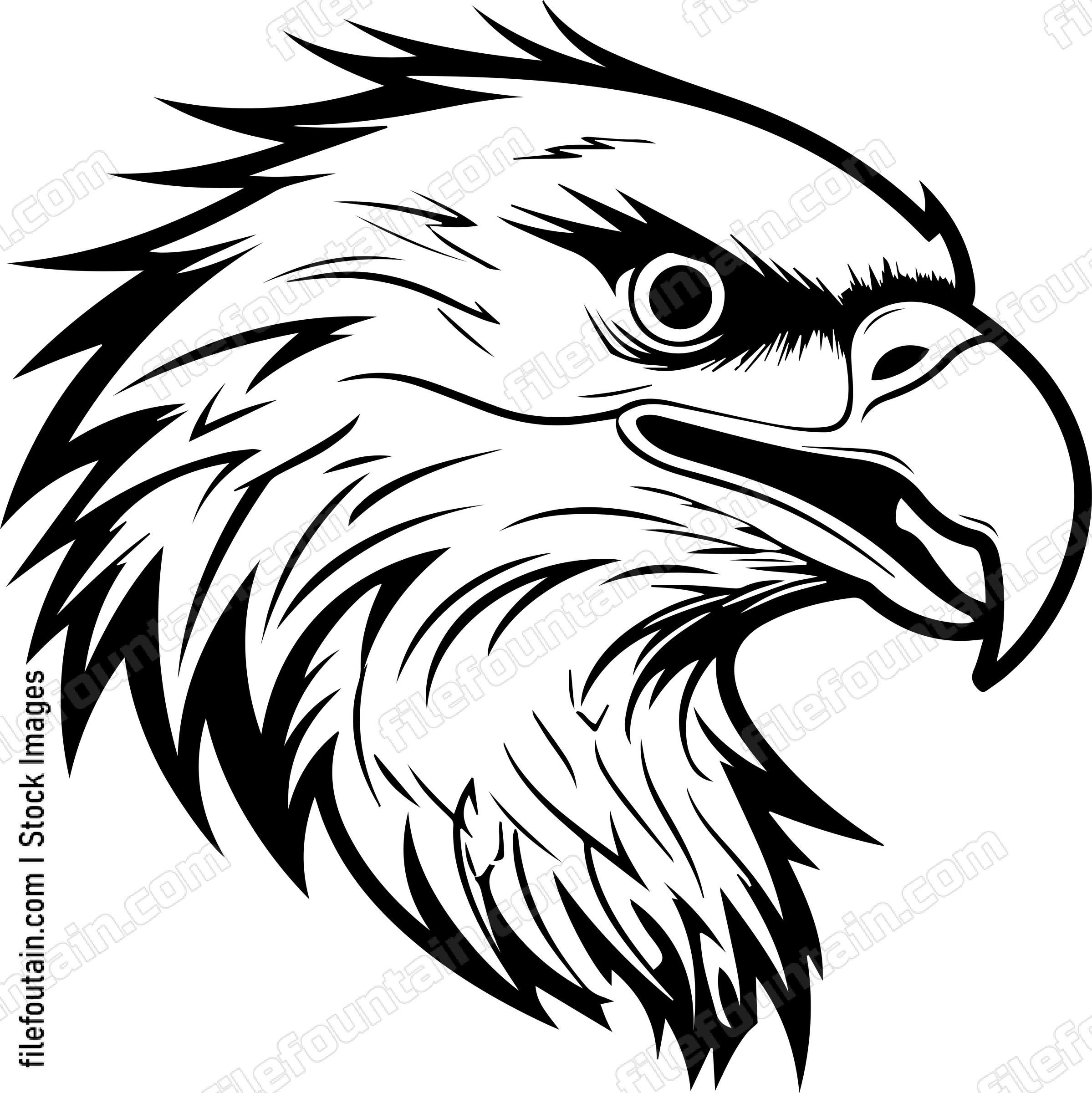 USA Eagle