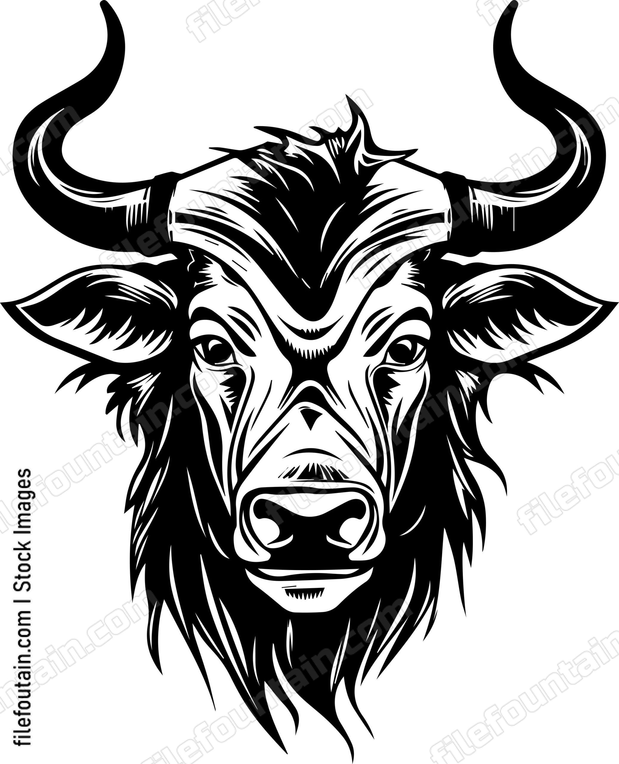 Wildebeest