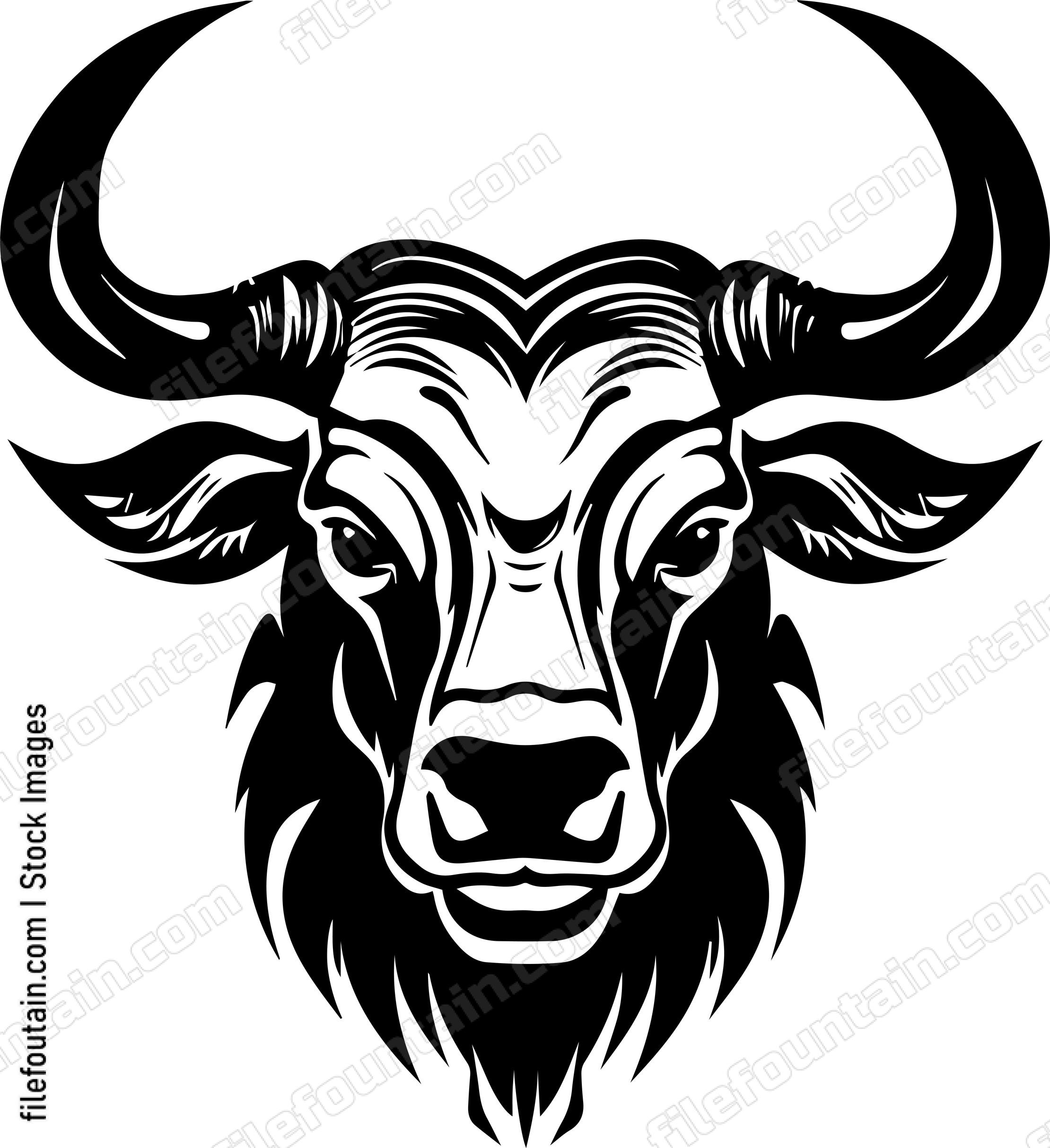 Wildebeest