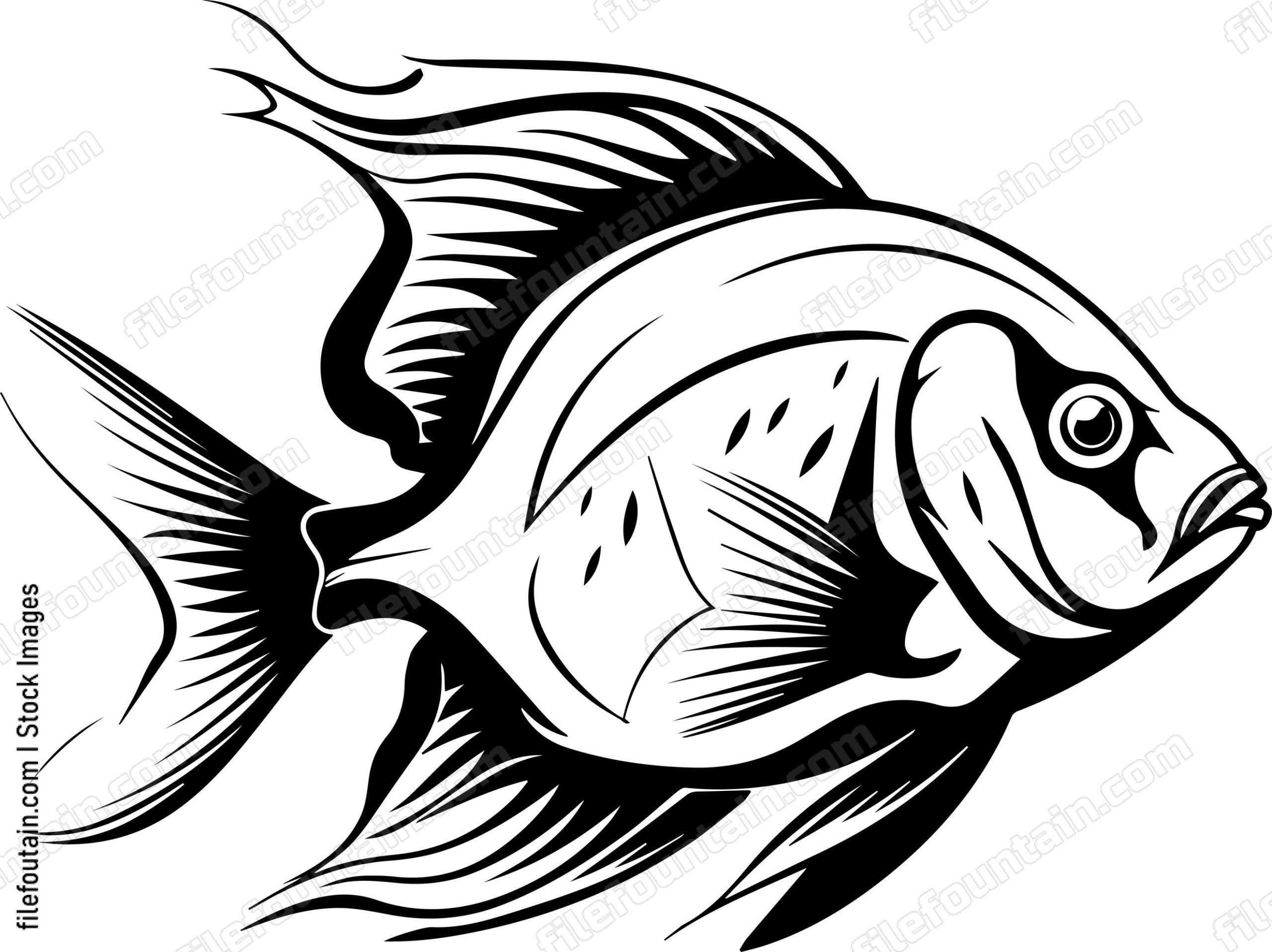 Angelfish