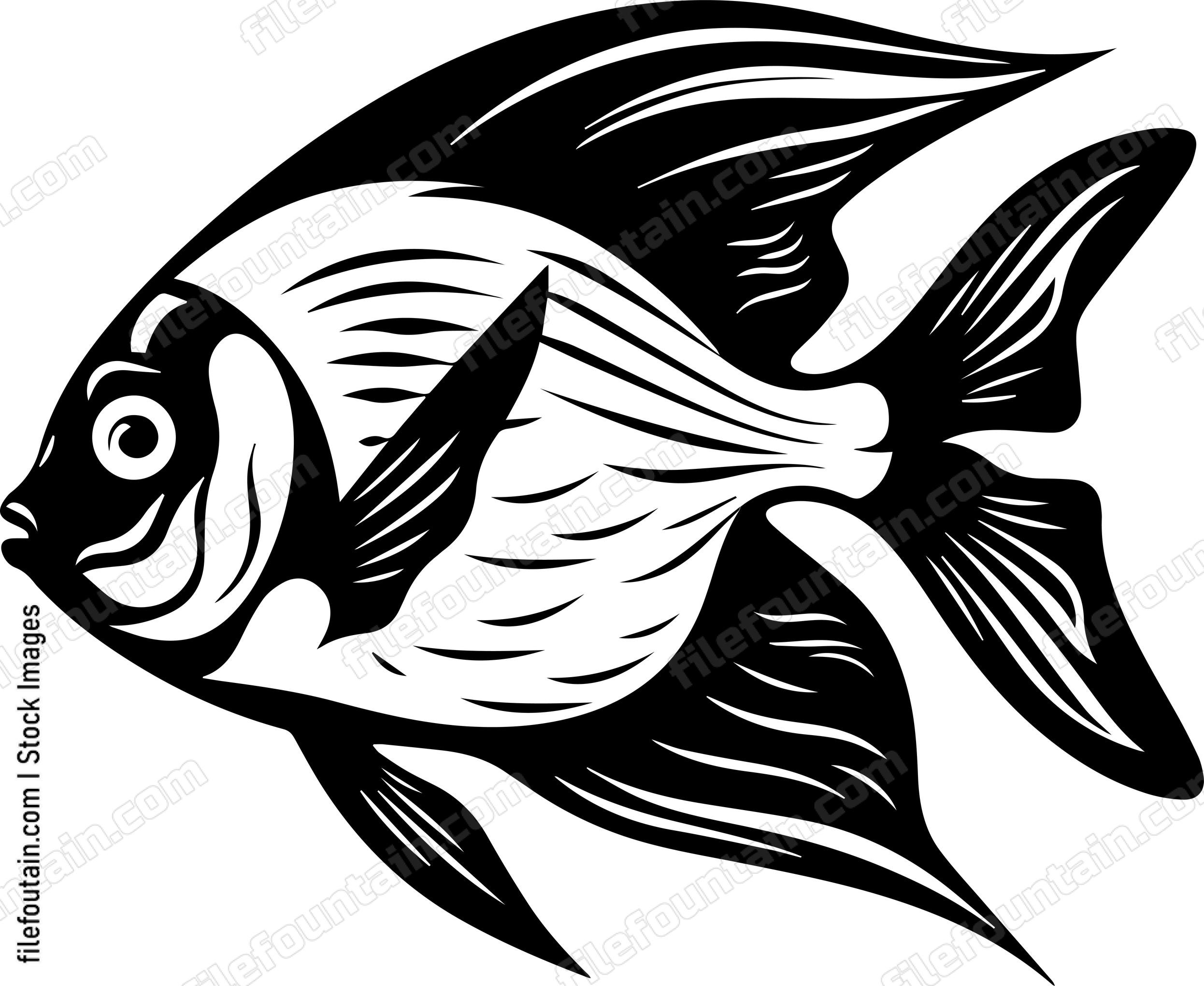 Angelfish