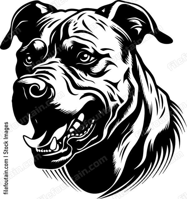 Angry Dog