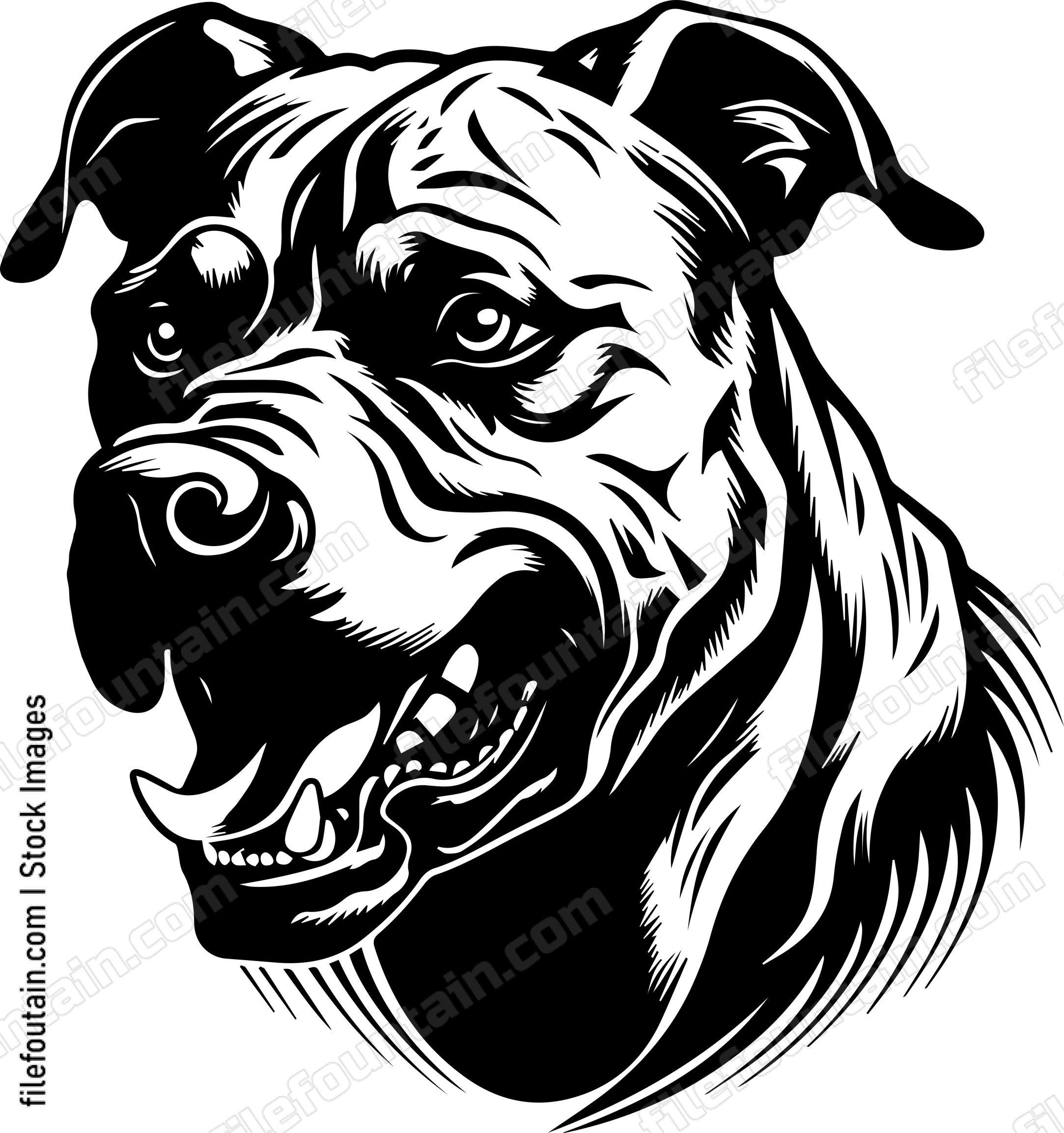 Angry Dog