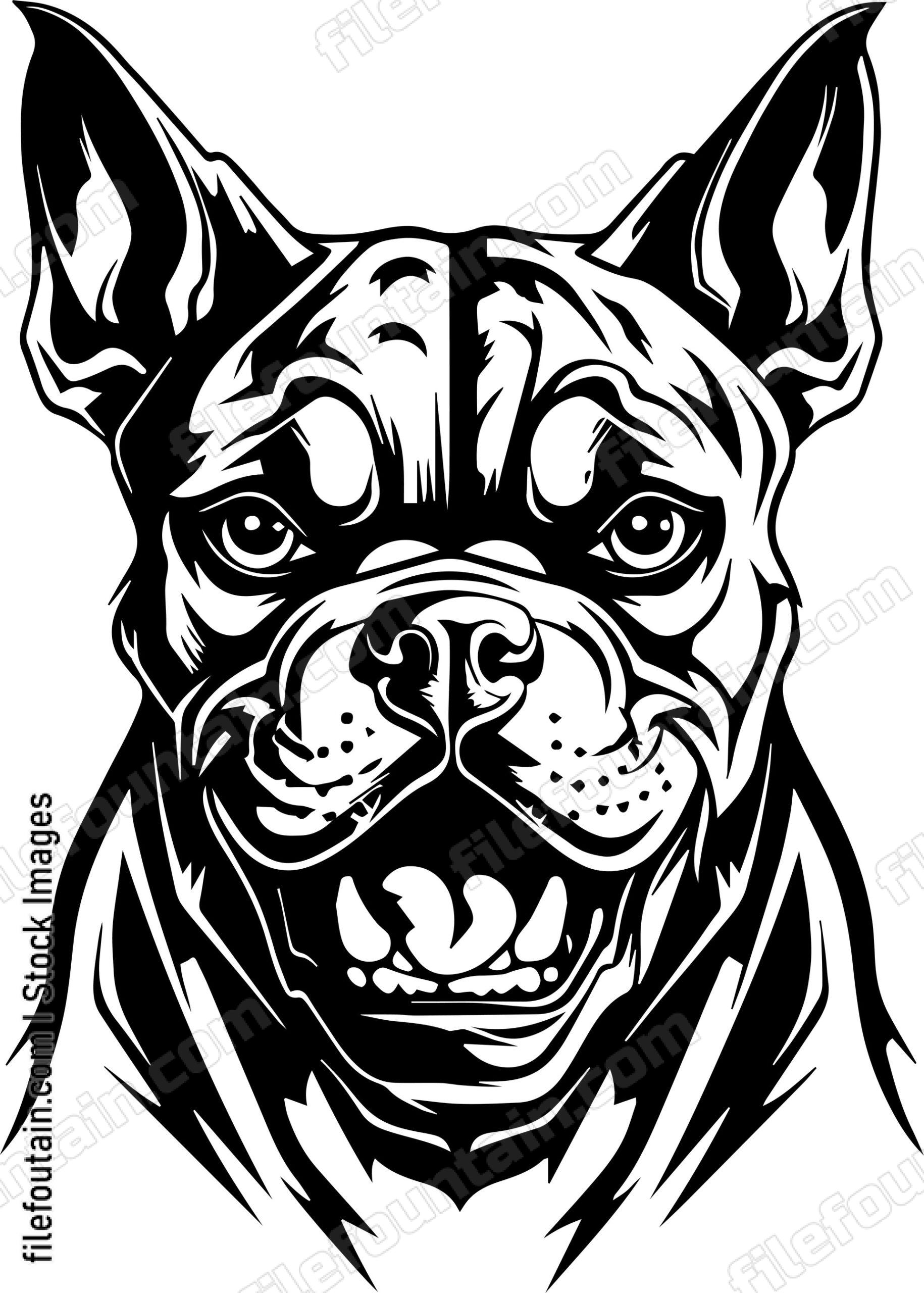 Angry Dog