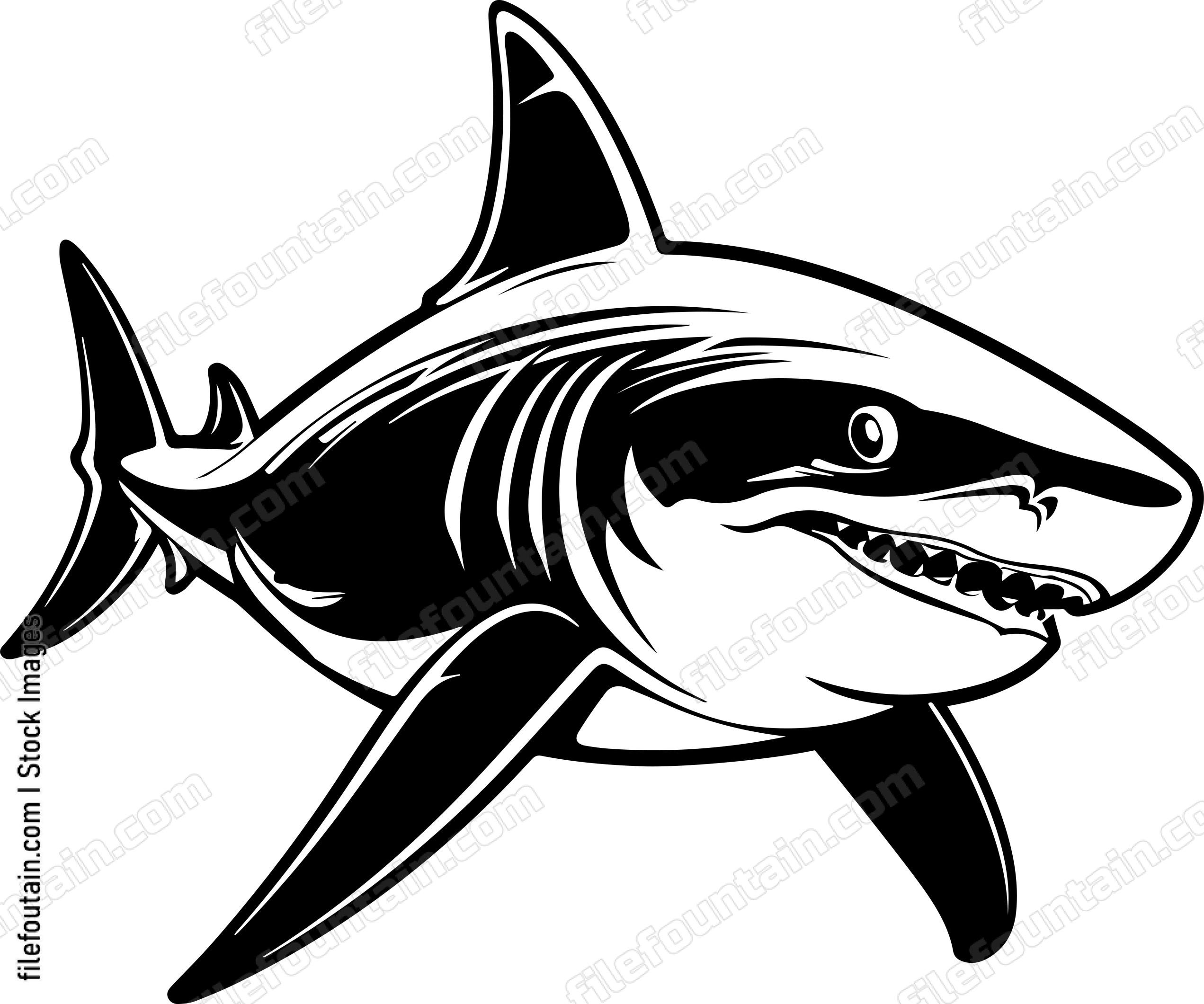 Angry Shark Face