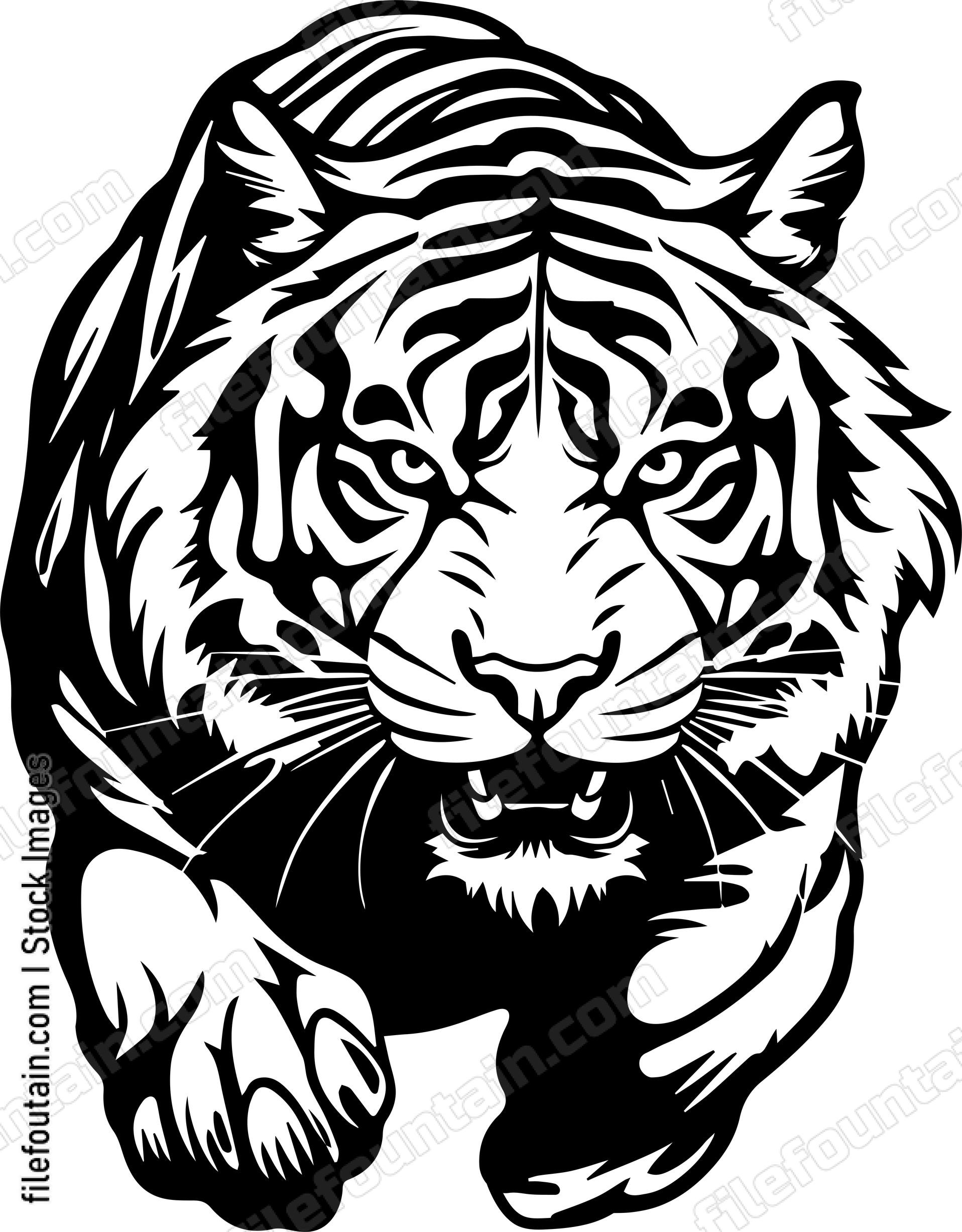 Angry Tiger Hissing