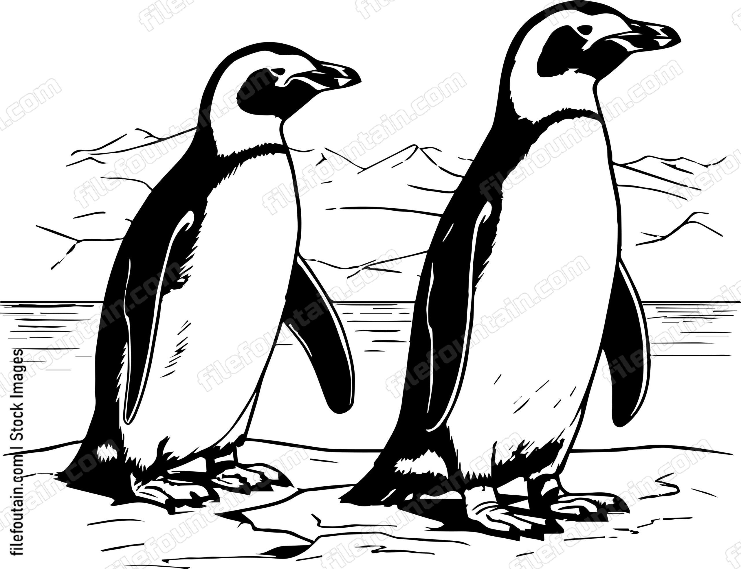 Antarctica Penguins
