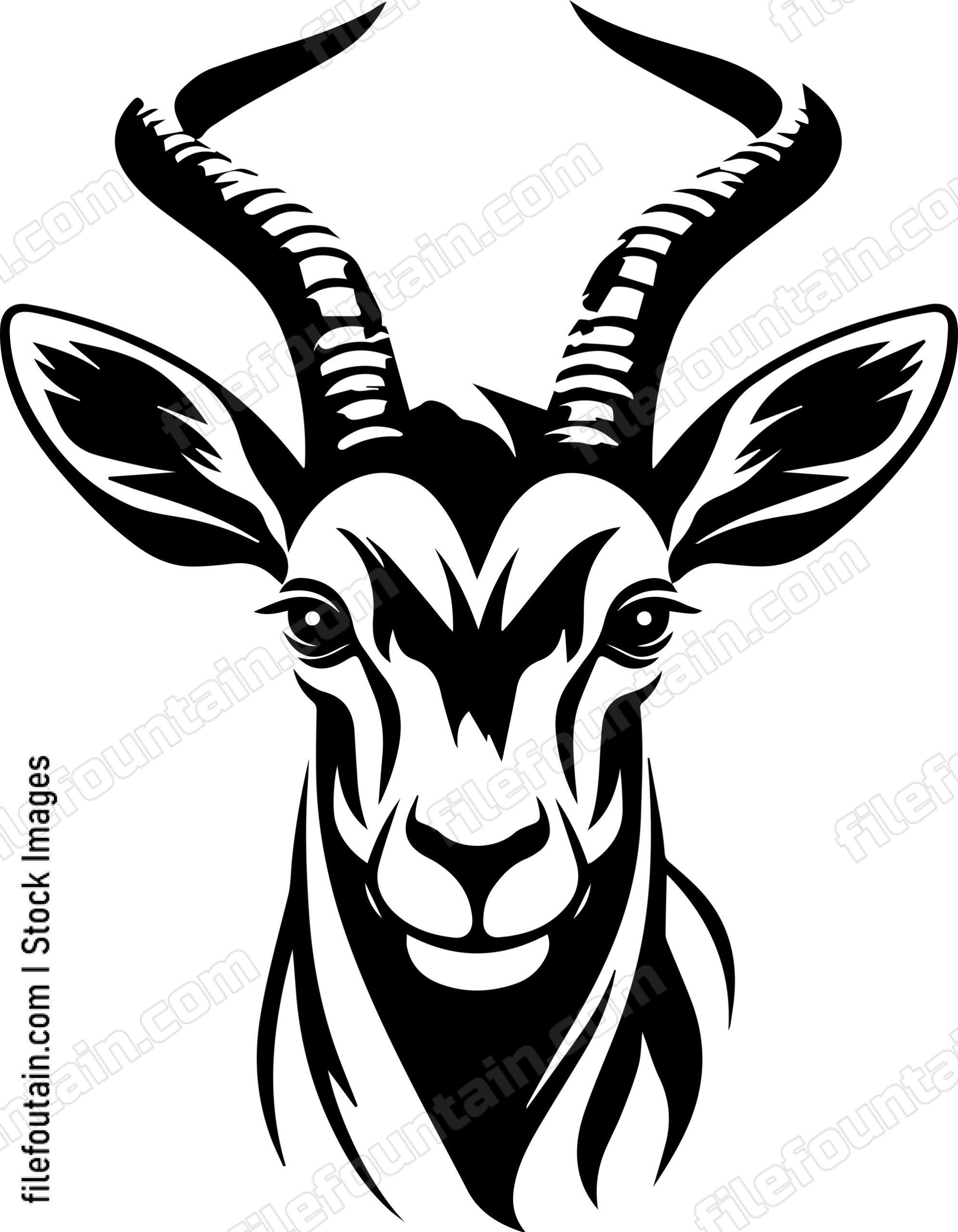 Antelope
