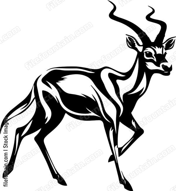 Antelope Running