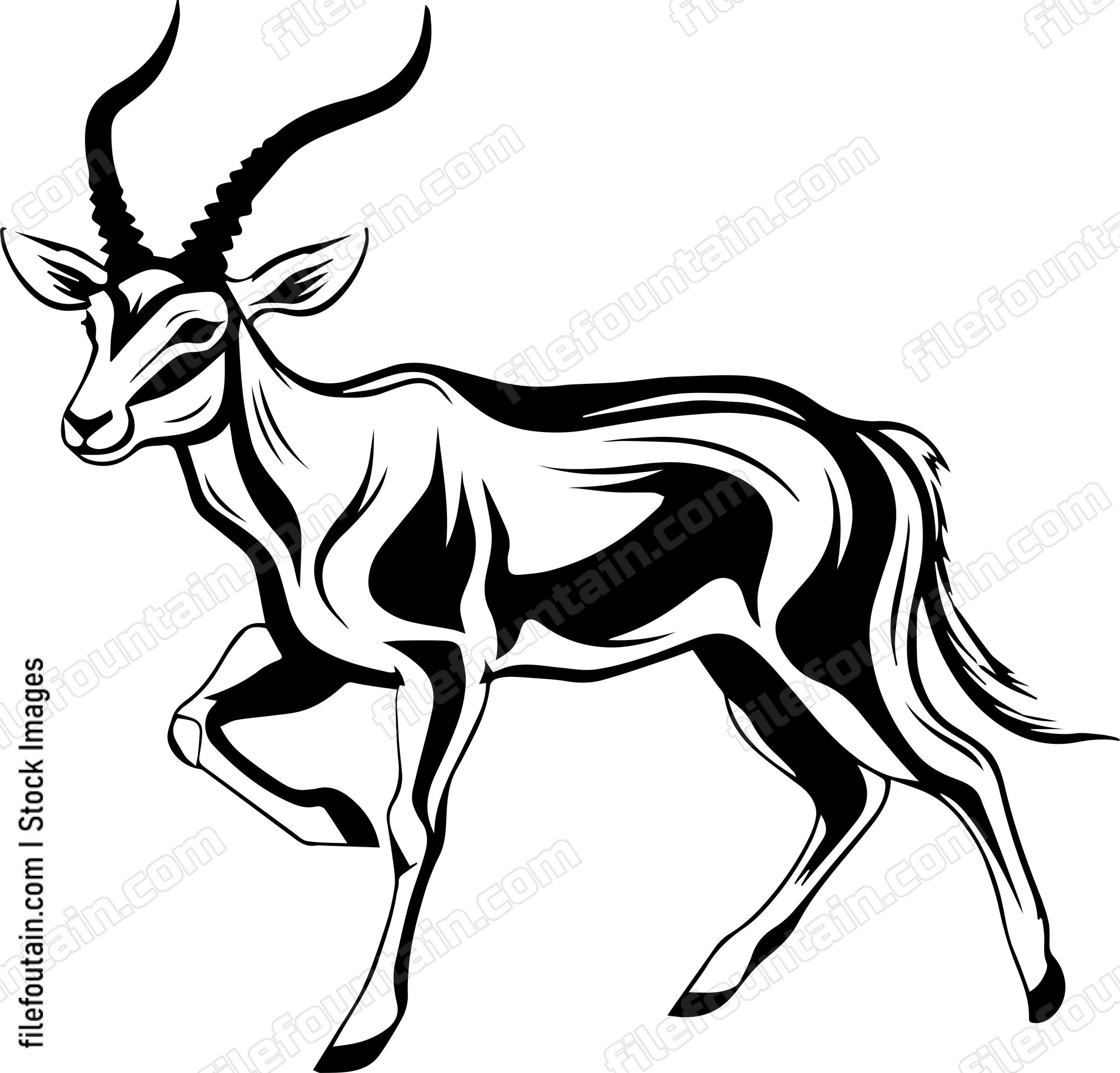 Antelope Running
