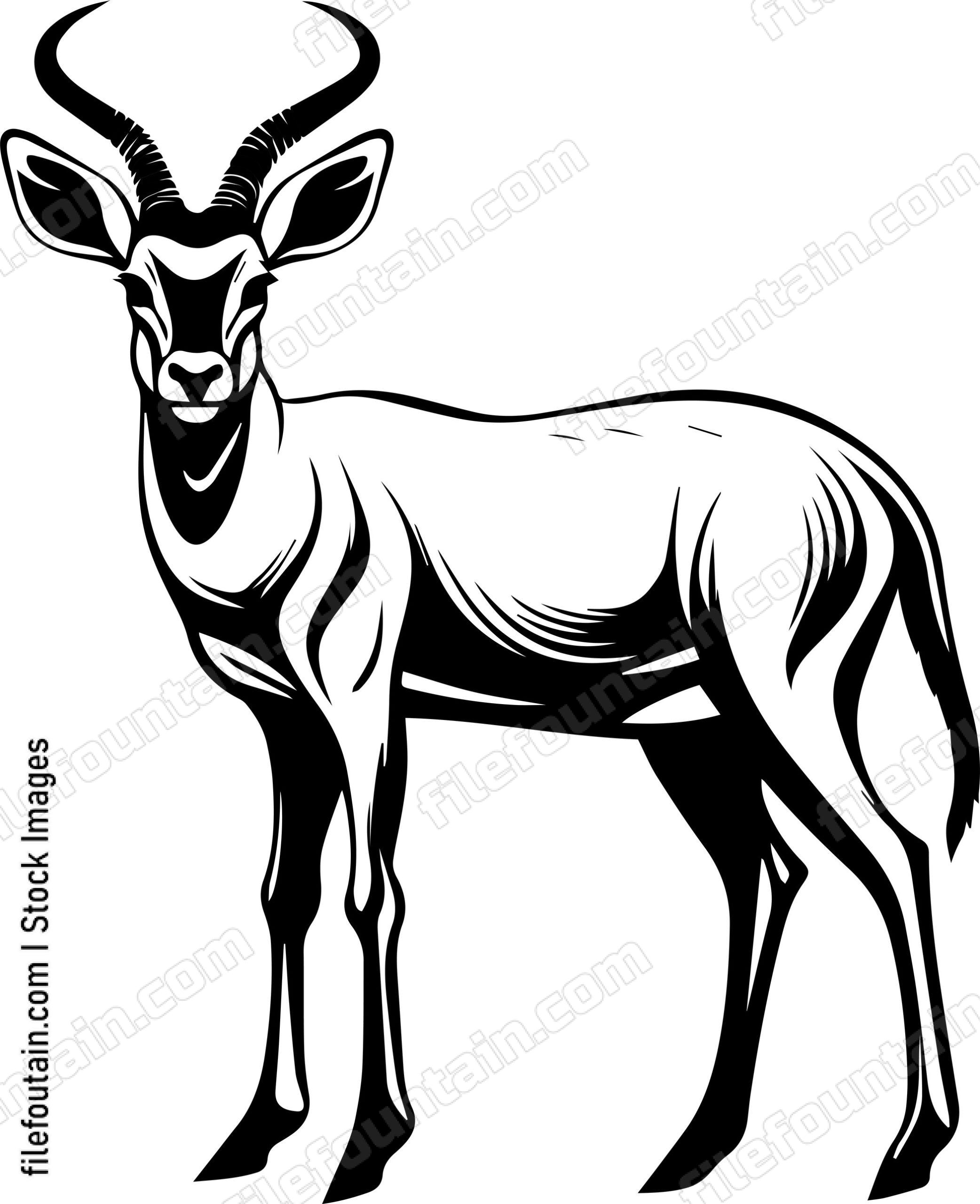 Antelope